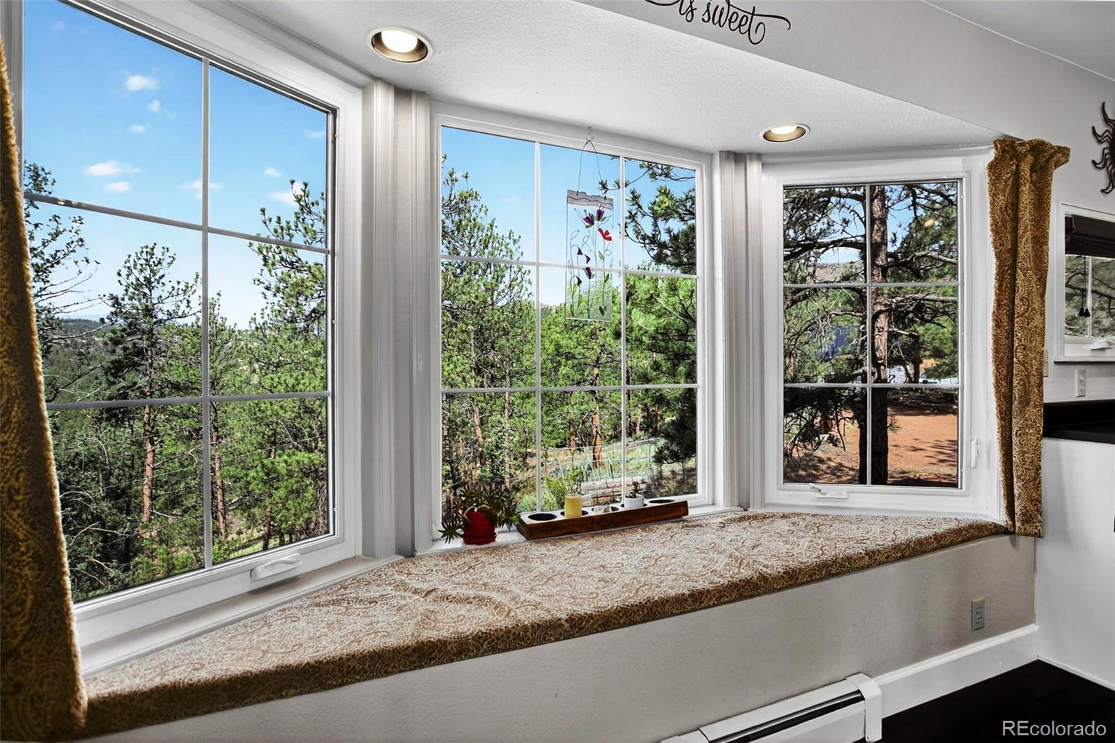 MLS Image #9 for 16596  ouray road,pine, Colorado