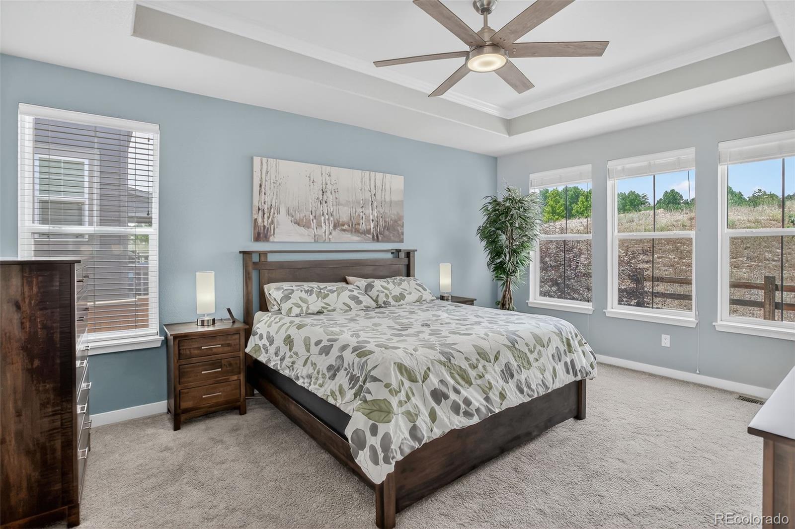 MLS Image #12 for 7121  hyland hills street,castle pines, Colorado