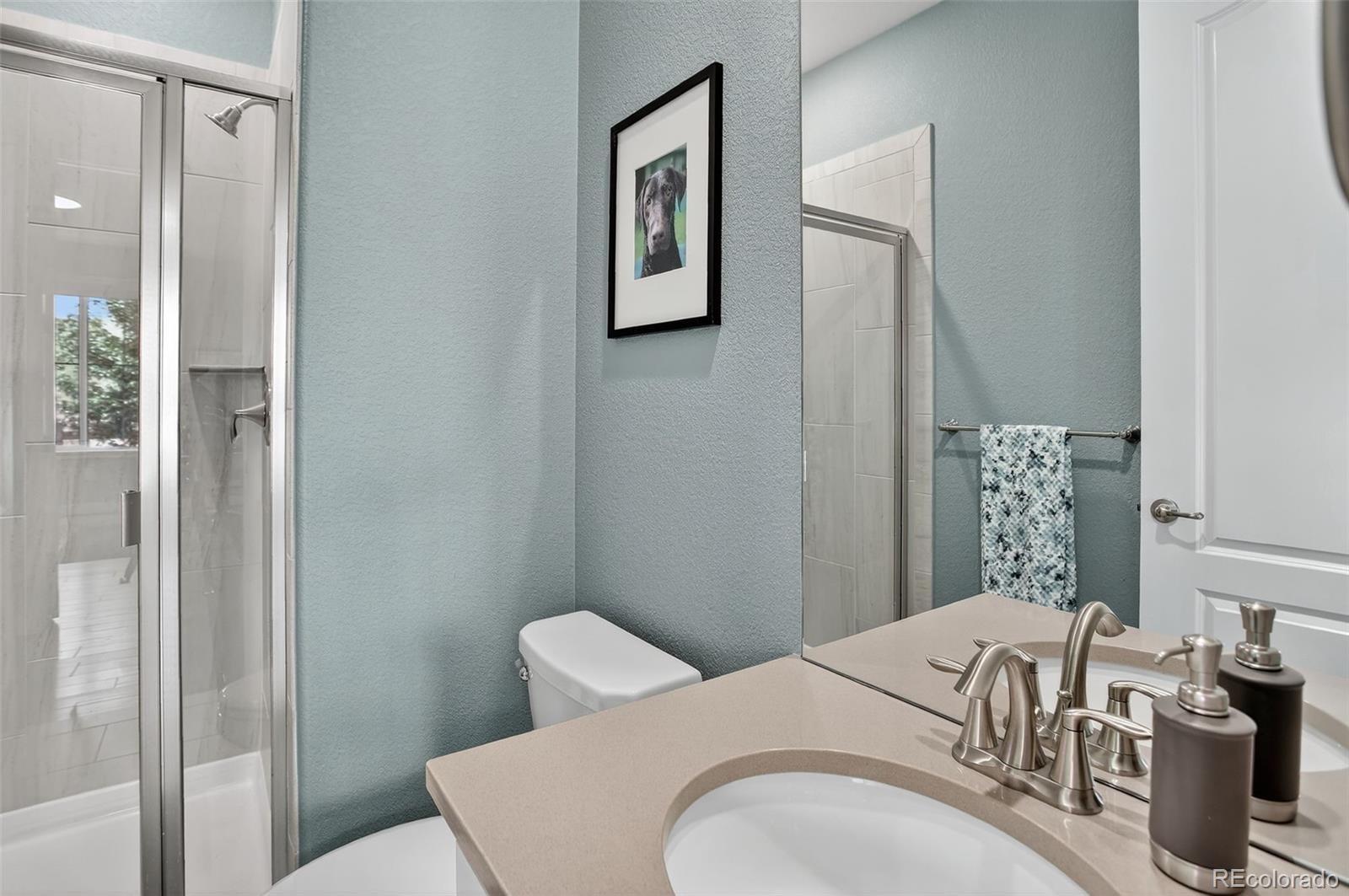 MLS Image #17 for 7121  hyland hills street,castle pines, Colorado
