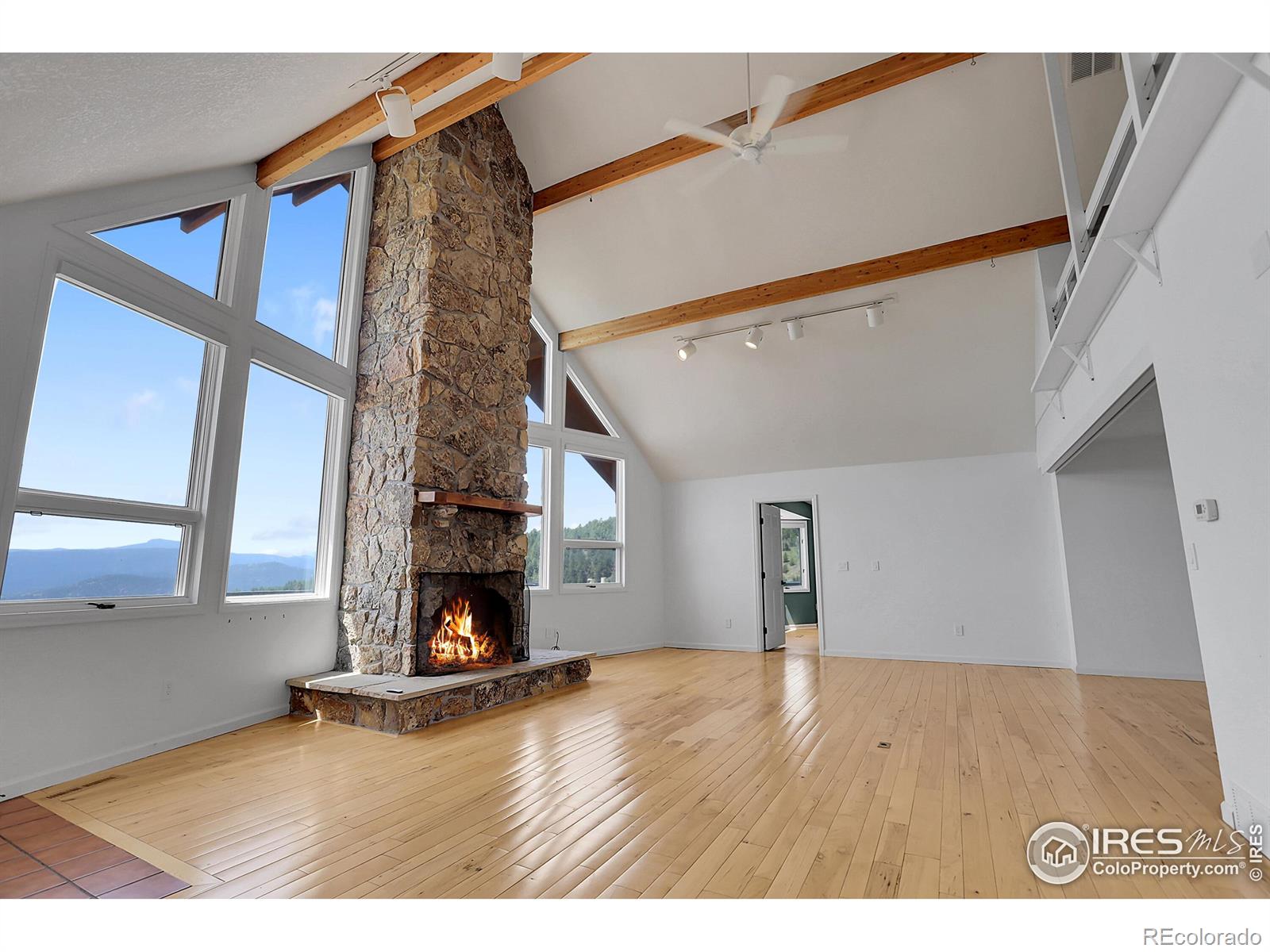 MLS Image #15 for 164  canon view road,boulder, Colorado