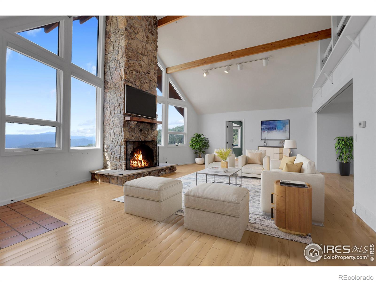 MLS Image #8 for 164  canon view road,boulder, Colorado