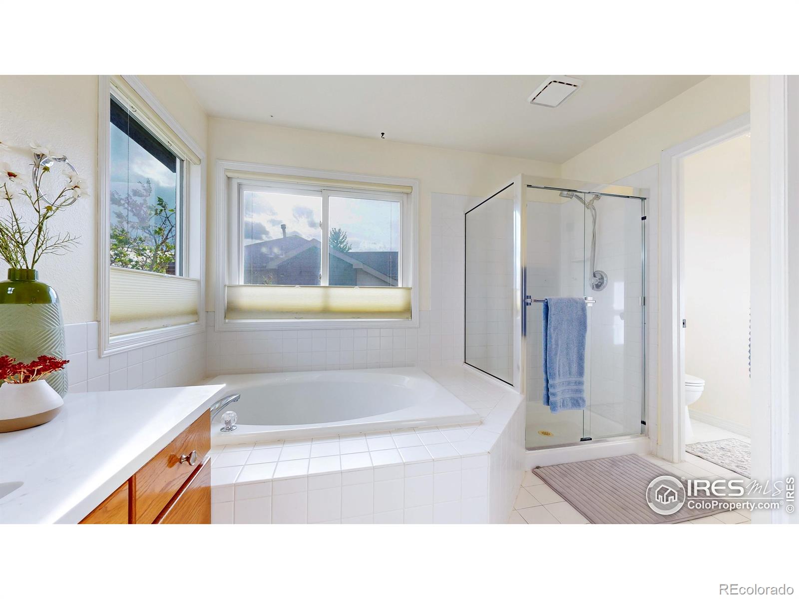 MLS Image #20 for 5105  nelson court,fort collins, Colorado