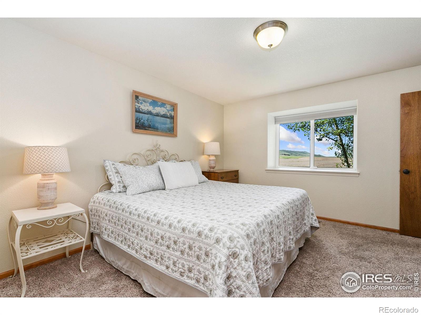 MLS Image #11 for 3643  fletcher street,loveland, Colorado