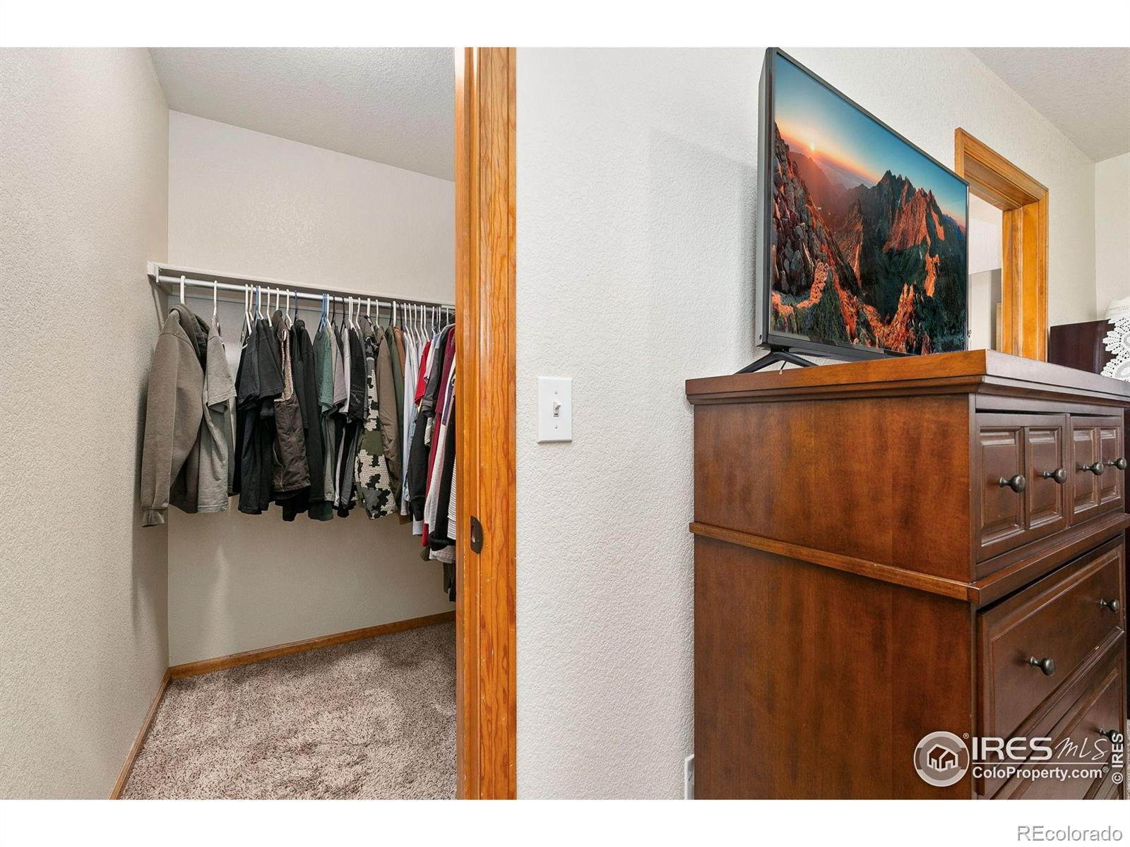 MLS Image #13 for 3643  fletcher street,loveland, Colorado