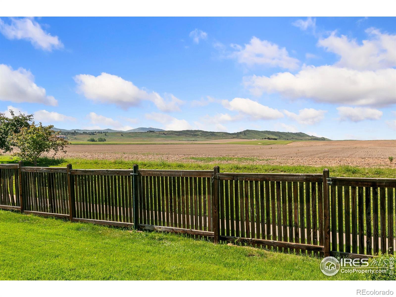 MLS Image #24 for 3643  fletcher street,loveland, Colorado