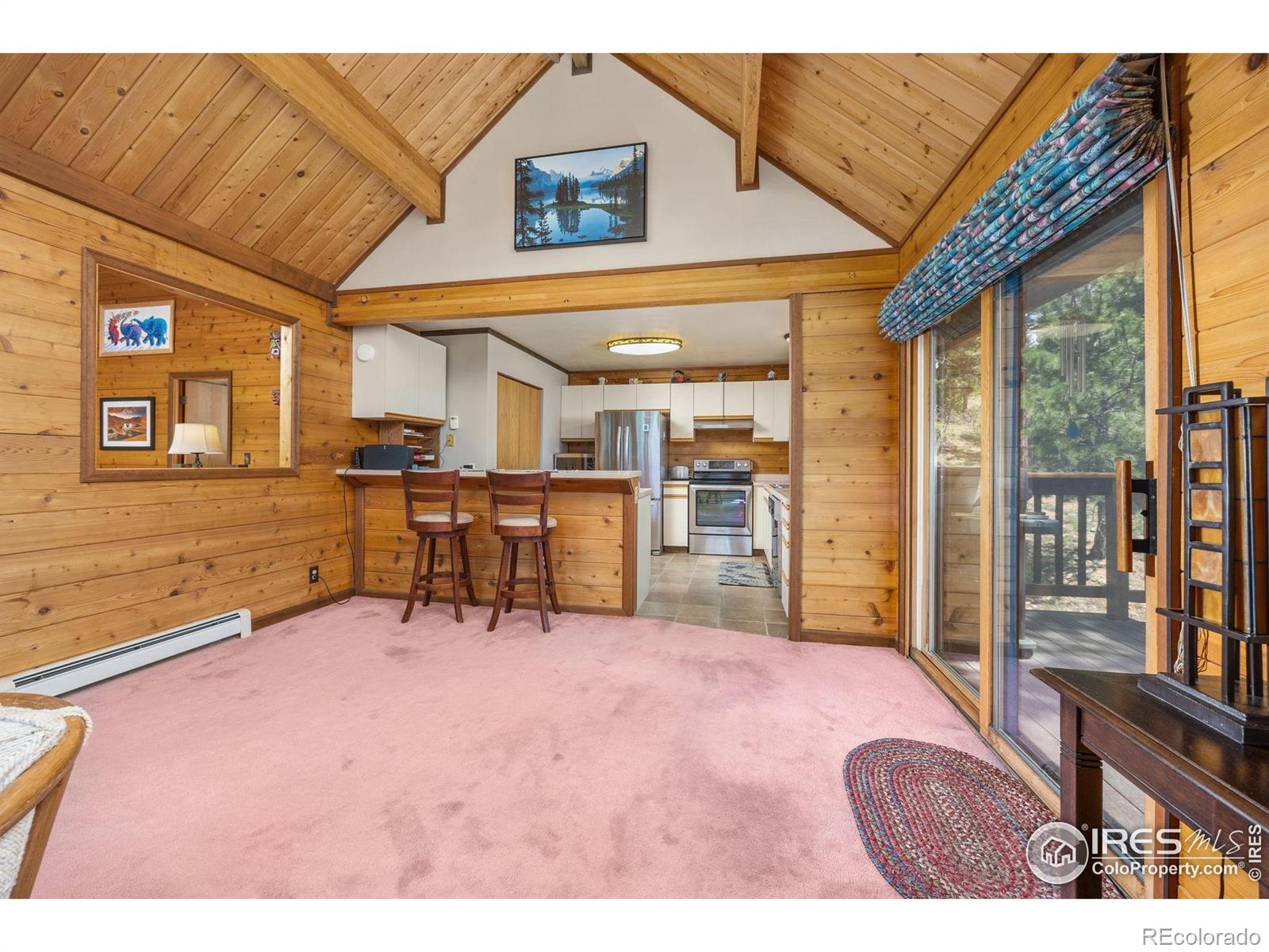 MLS Image #11 for 92  sundance circle,nederland, Colorado