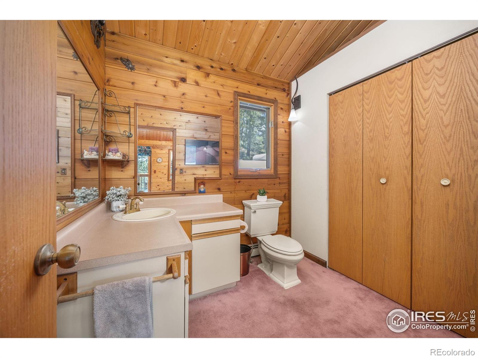 MLS Image #15 for 92  sundance circle,nederland, Colorado