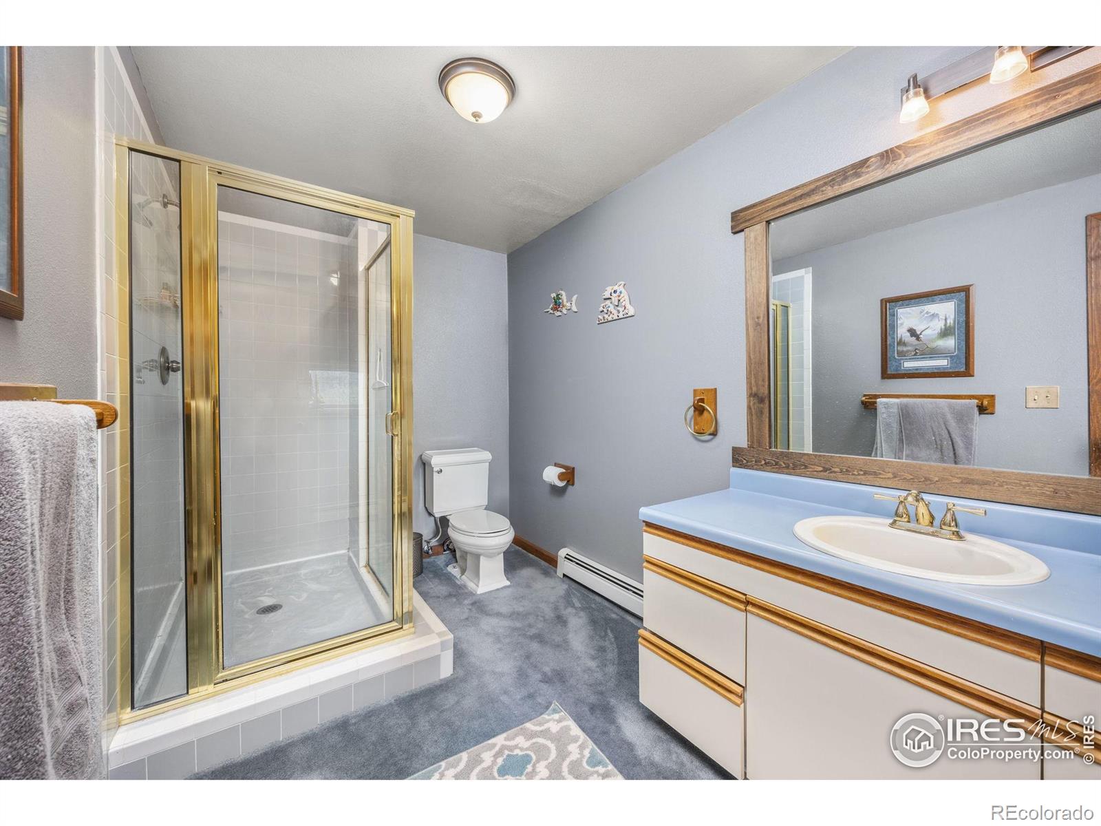 MLS Image #22 for 92  sundance circle,nederland, Colorado