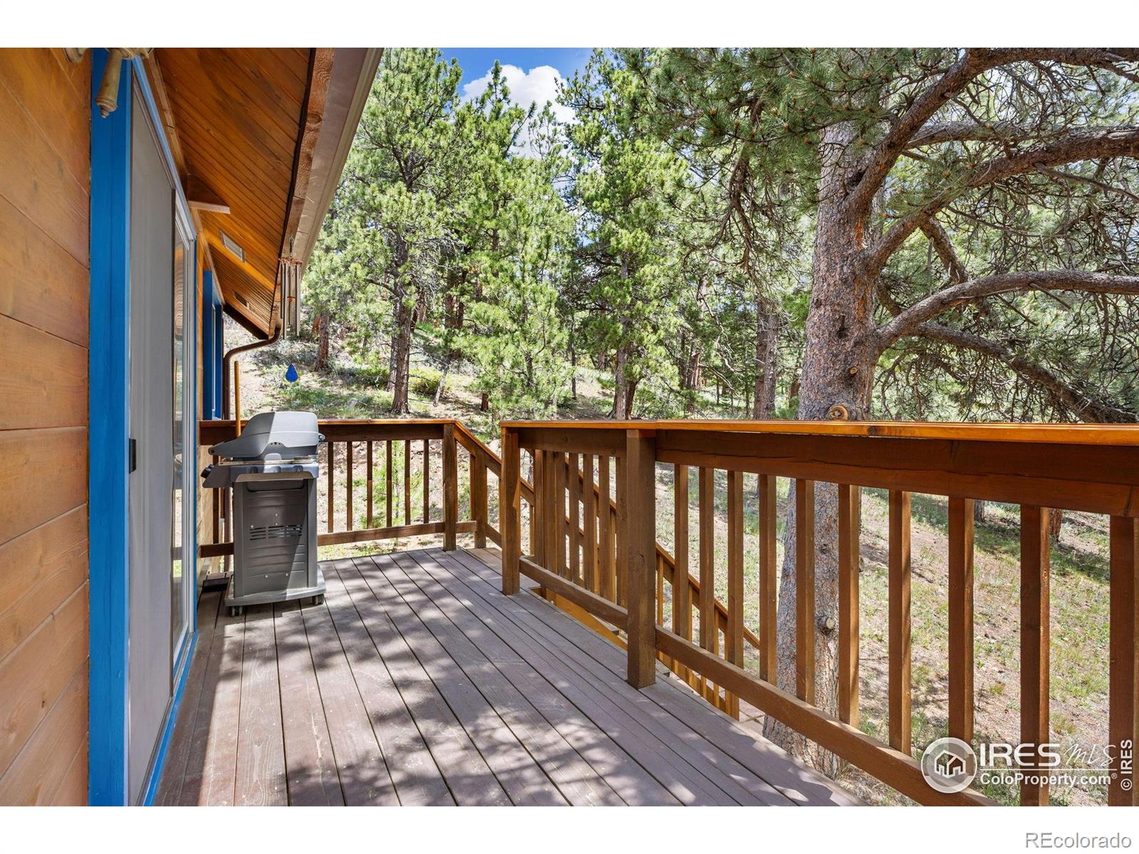 MLS Image #29 for 92  sundance circle,nederland, Colorado