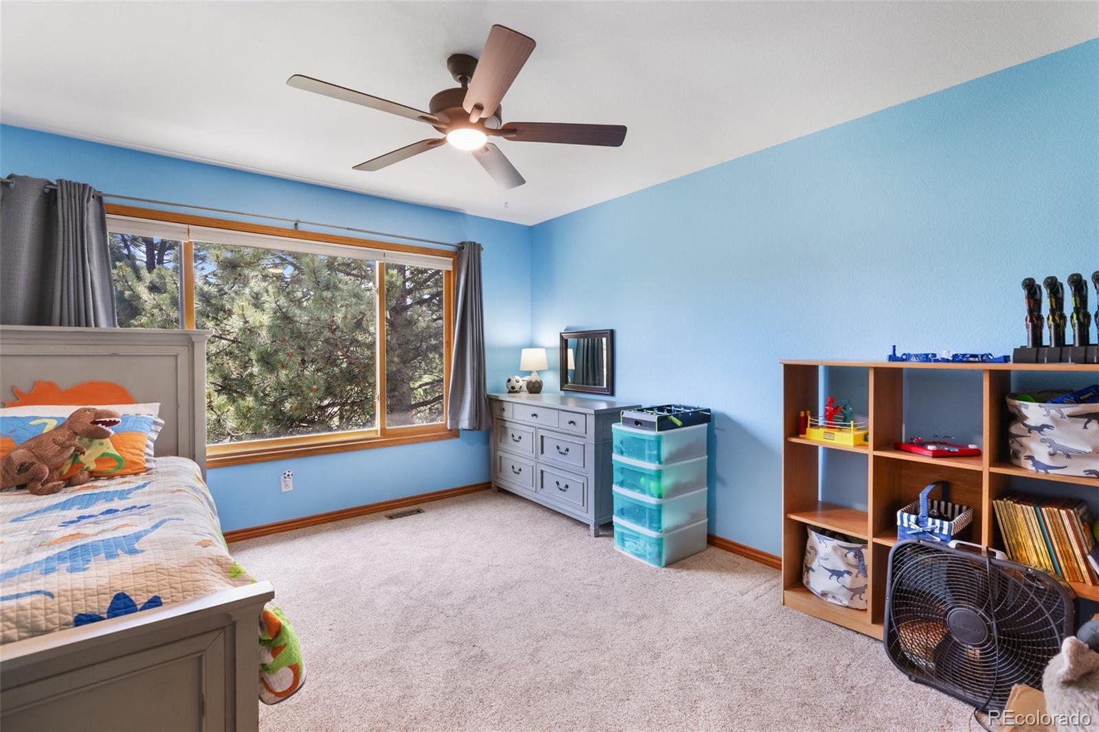 MLS Image #22 for 405  sun valley drive,woodland park, Colorado