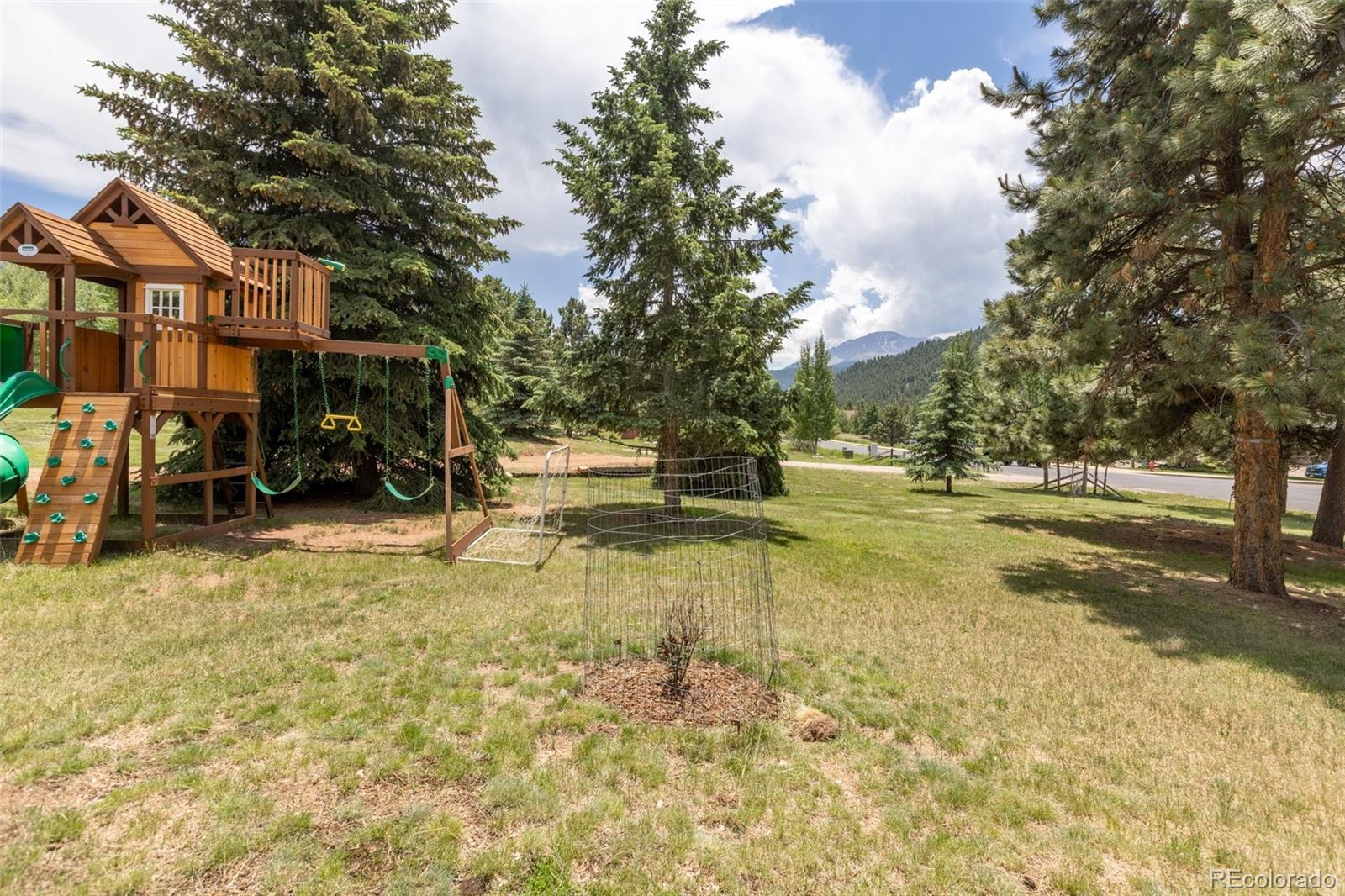 MLS Image #5 for 405  sun valley drive,woodland park, Colorado