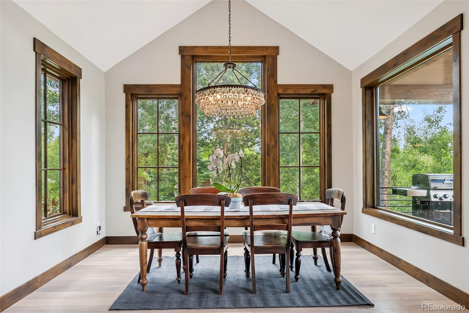 MLS Image #13 for 456  royal red bird drive,silverthorne, Colorado