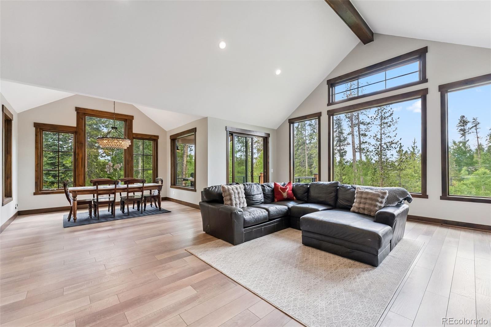 MLS Image #14 for 456  royal red bird drive,silverthorne, Colorado