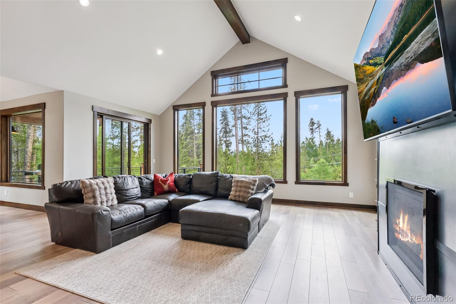 MLS Image #15 for 456  royal red bird drive,silverthorne, Colorado