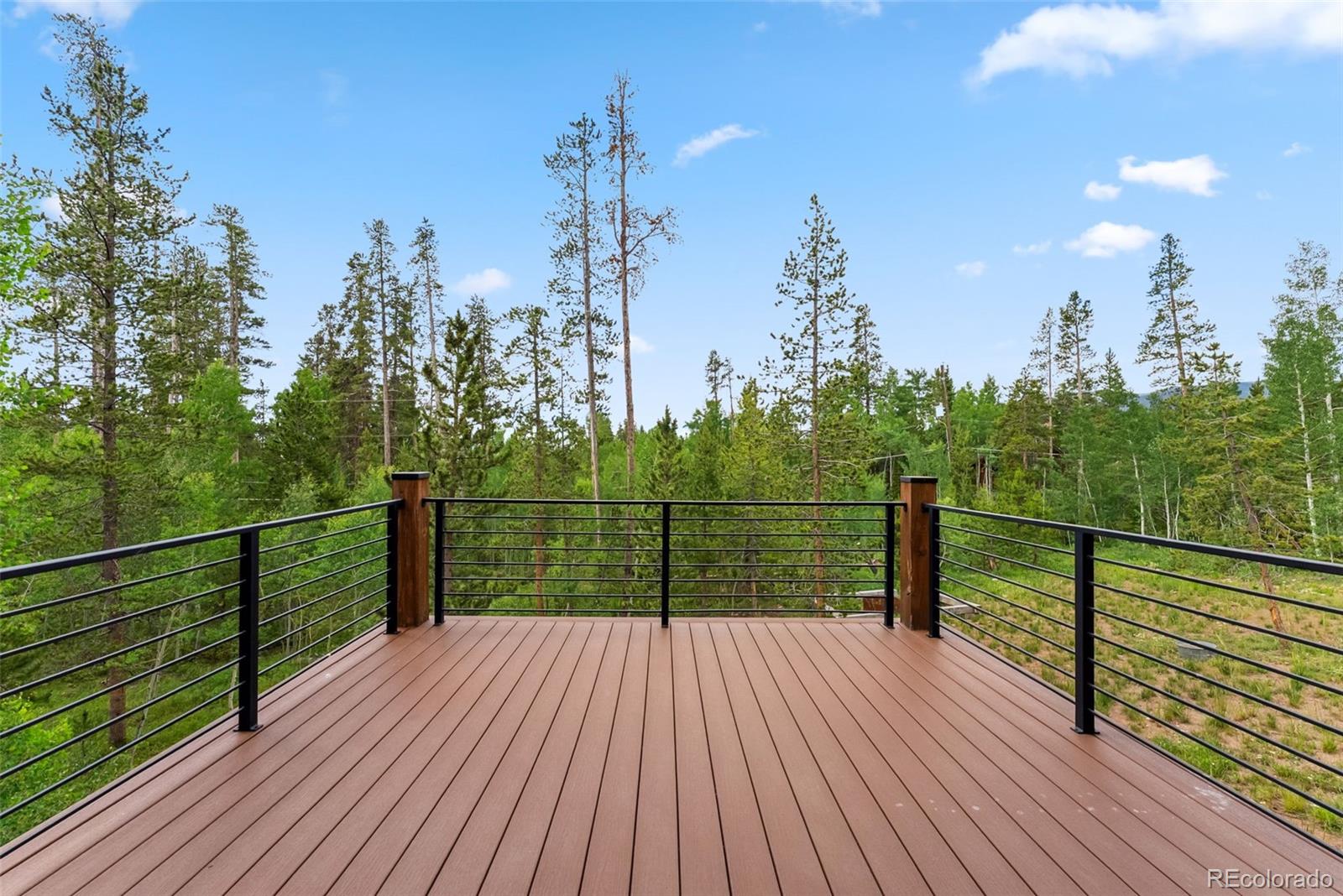 MLS Image #16 for 456  royal red bird drive,silverthorne, Colorado