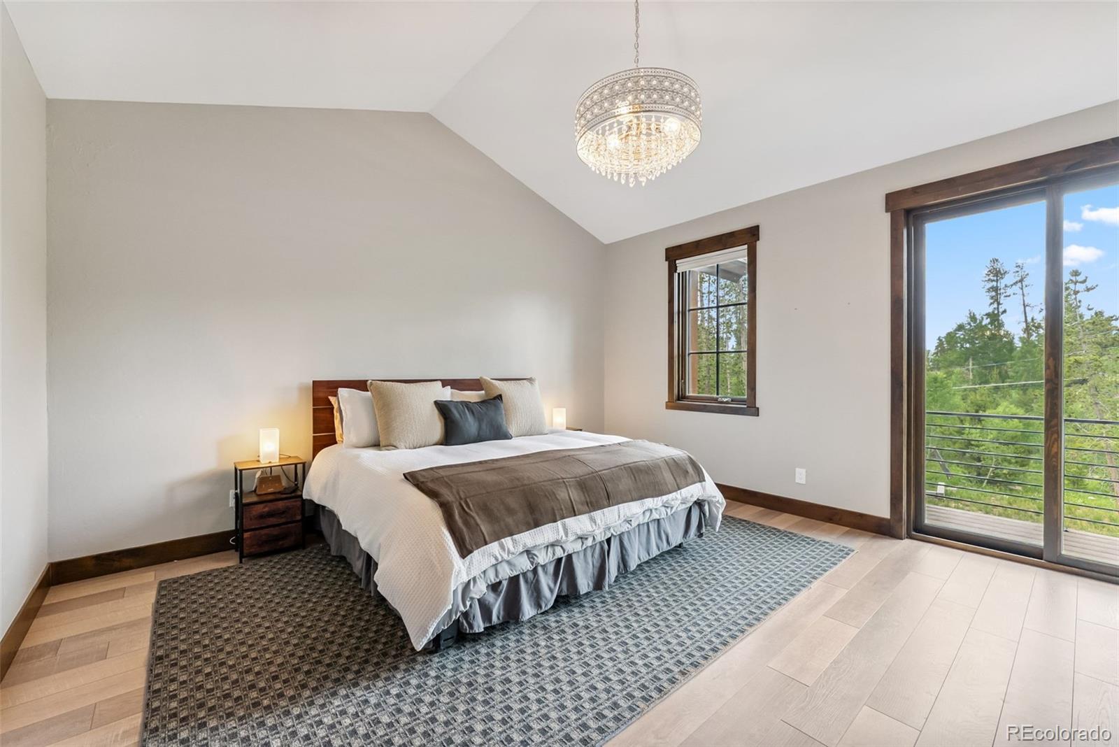 MLS Image #18 for 456  royal red bird drive,silverthorne, Colorado