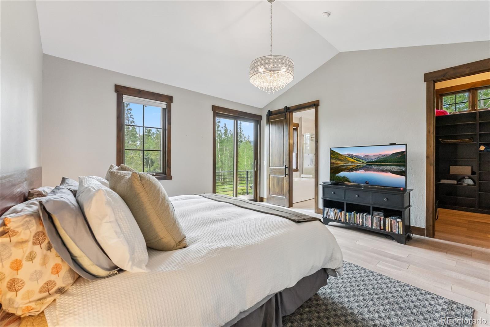 MLS Image #19 for 456  royal red bird drive,silverthorne, Colorado