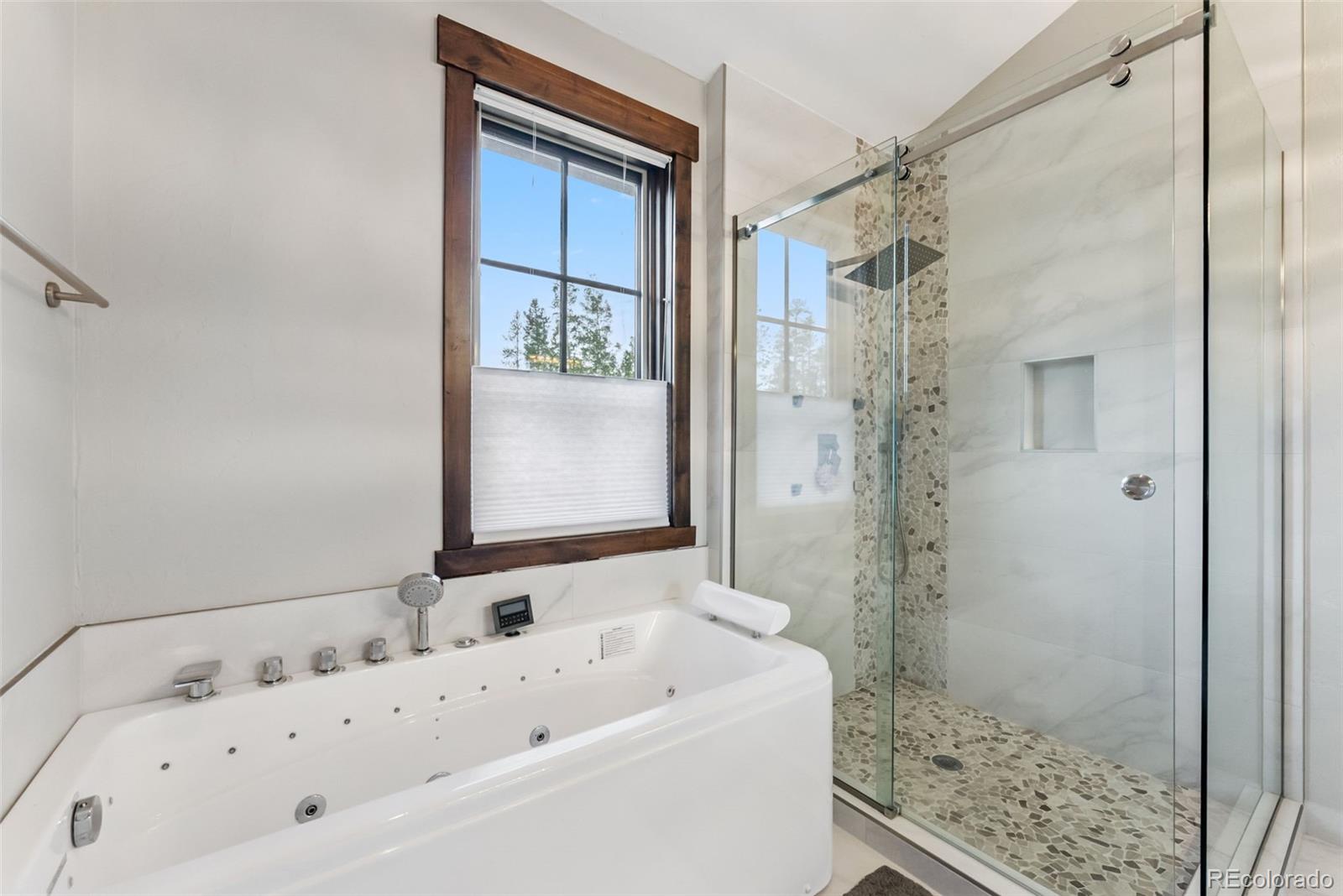 MLS Image #21 for 456  royal red bird drive,silverthorne, Colorado