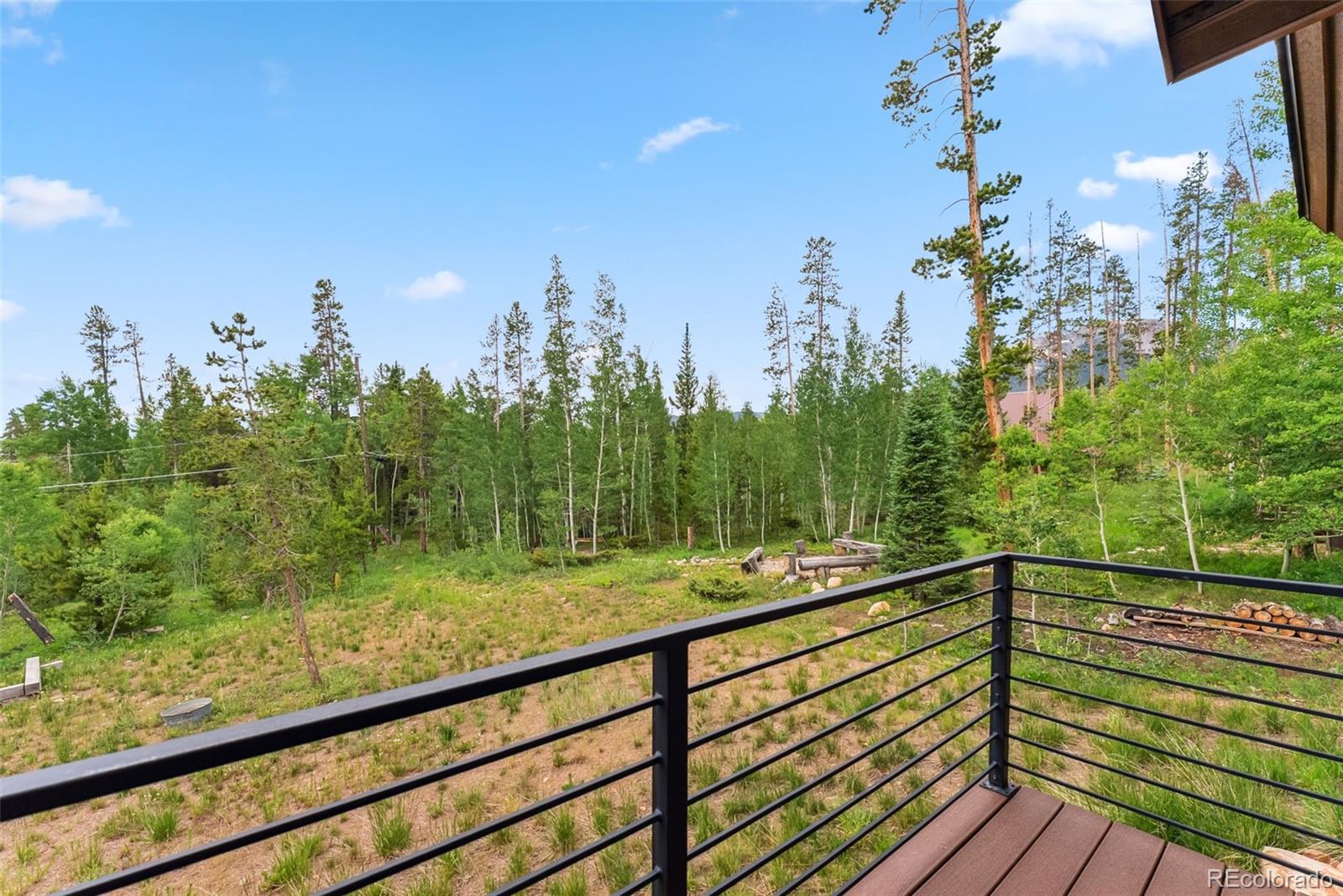MLS Image #25 for 456  royal red bird drive,silverthorne, Colorado