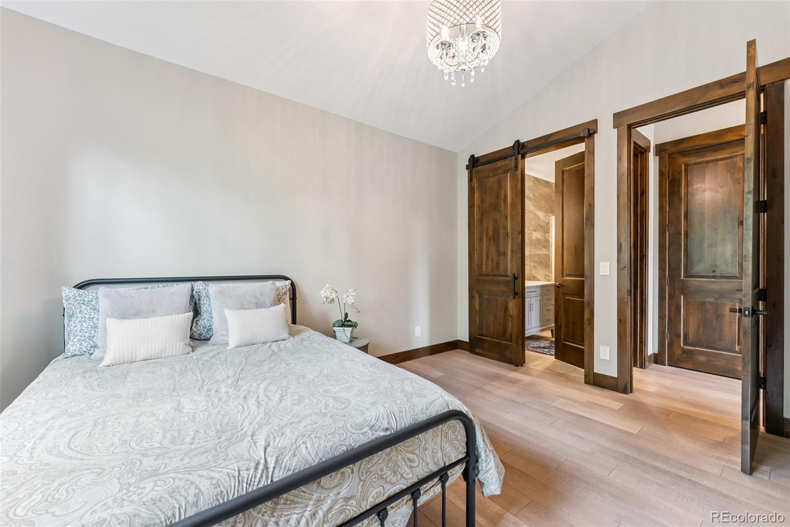MLS Image #26 for 456  royal red bird drive,silverthorne, Colorado