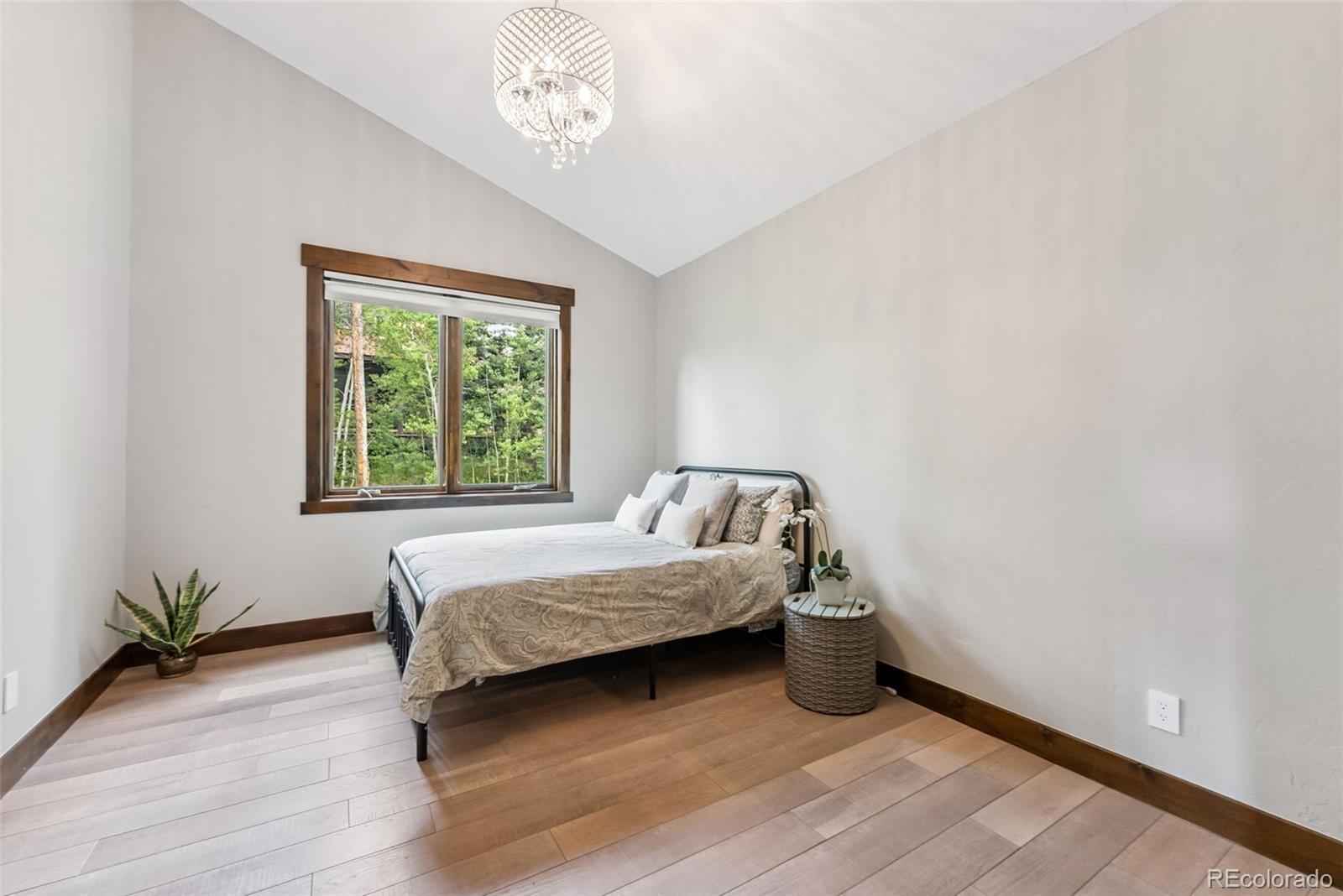 MLS Image #27 for 456  royal red bird drive,silverthorne, Colorado