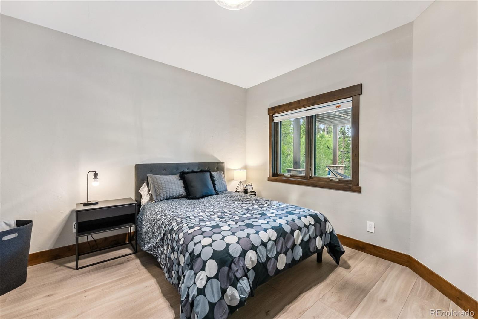 MLS Image #38 for 456  royal red bird drive,silverthorne, Colorado