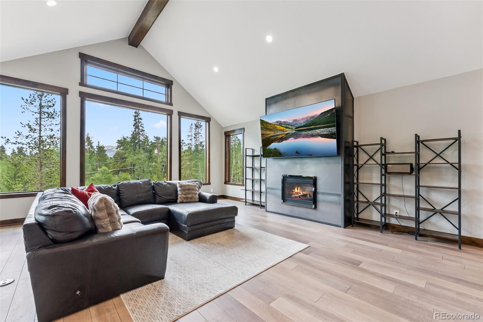 MLS Image #9 for 456  royal red bird drive,silverthorne, Colorado