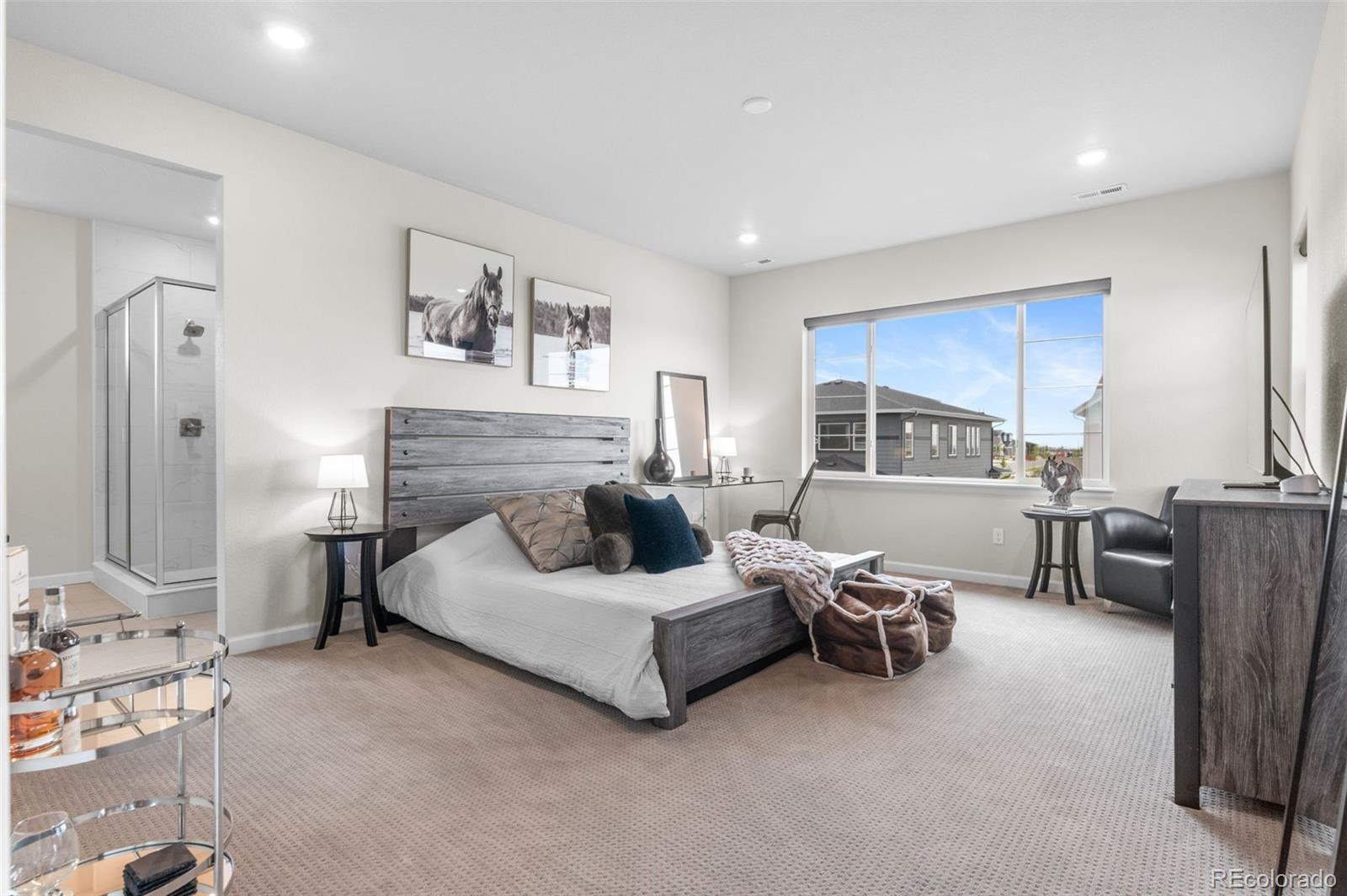 MLS Image #21 for 3453 n gold bug court,aurora, Colorado