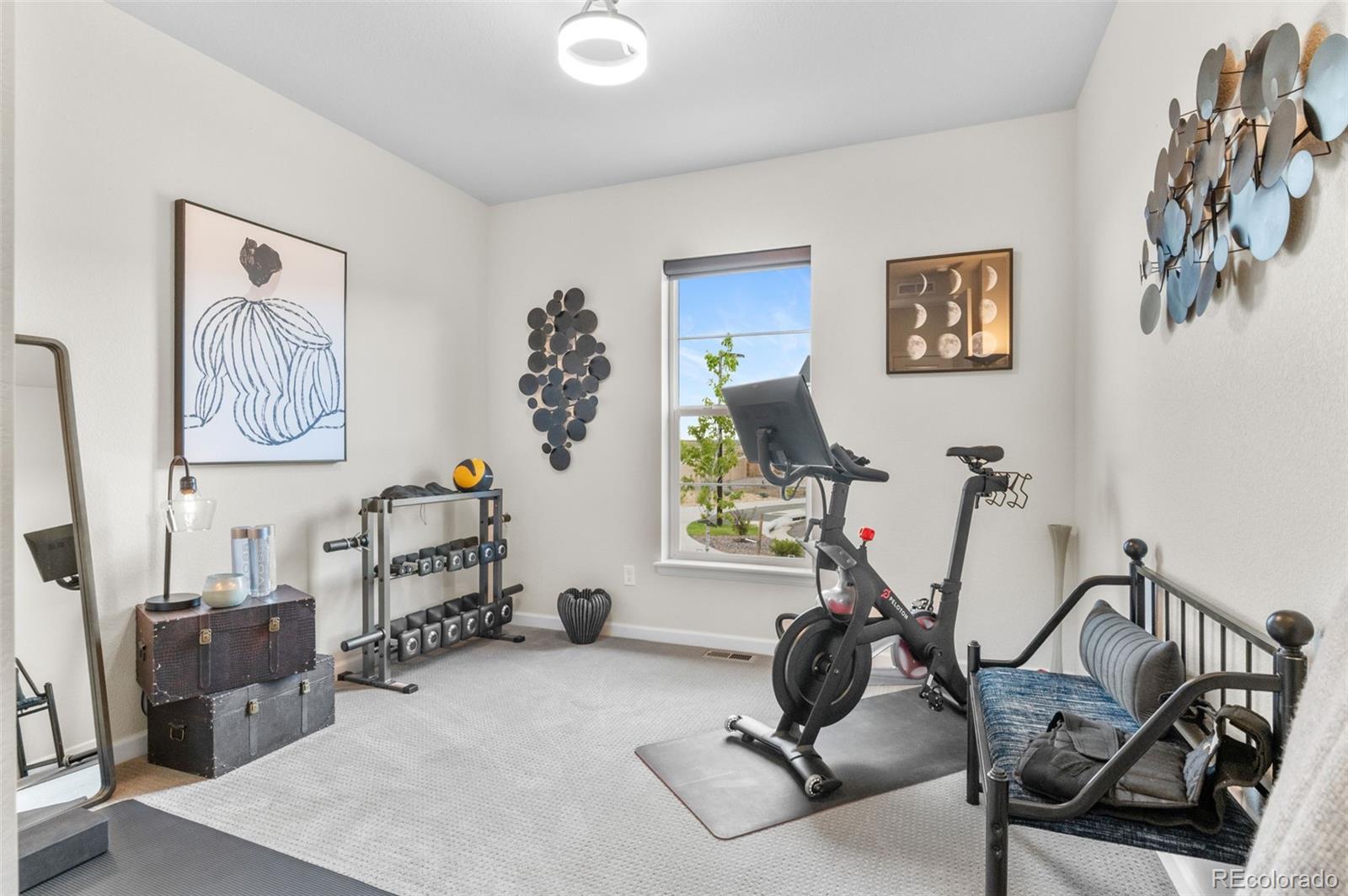 MLS Image #31 for 3453 n gold bug court,aurora, Colorado
