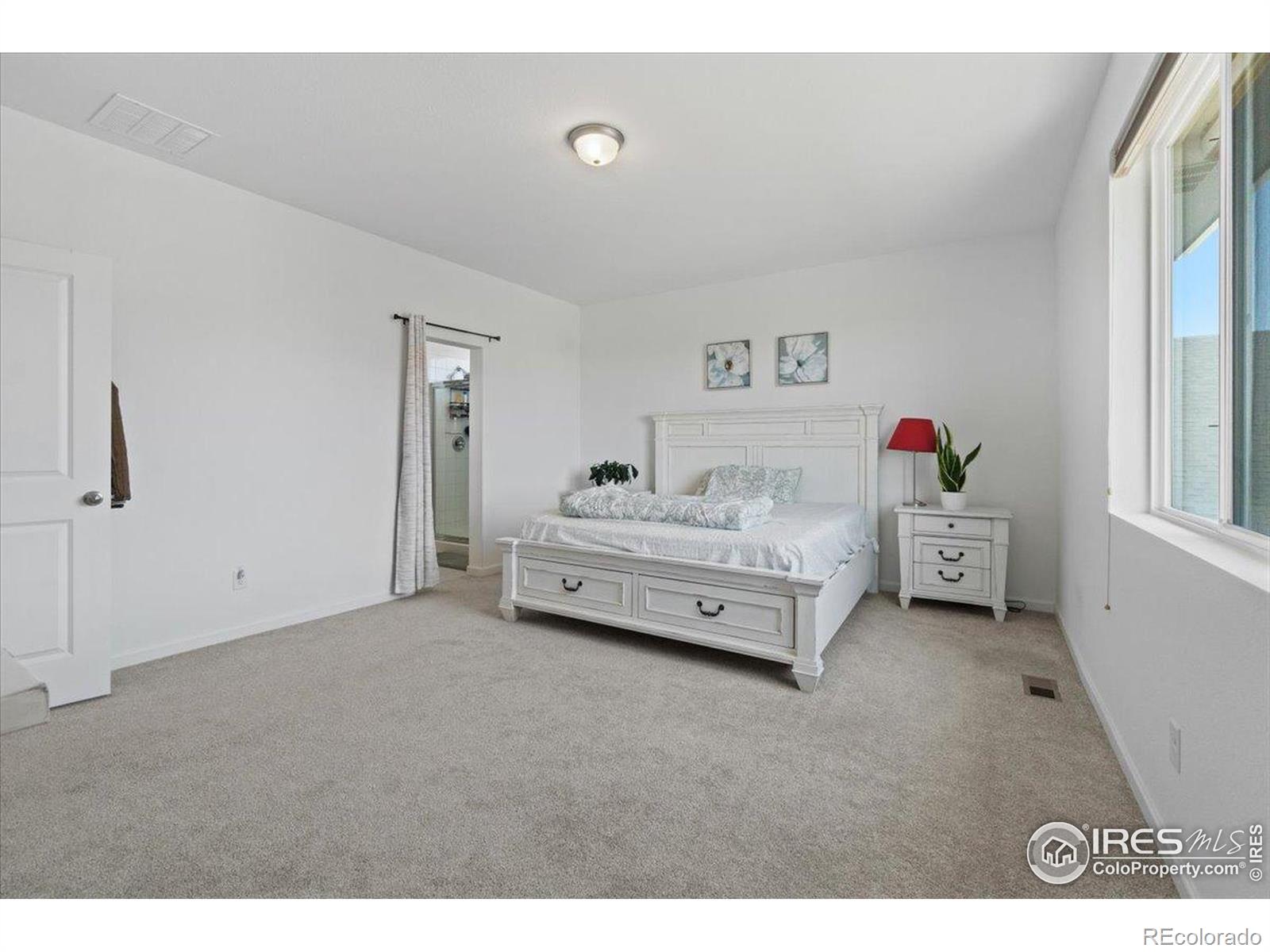 MLS Image #11 for 2418  cottongrass avenue,loveland, Colorado