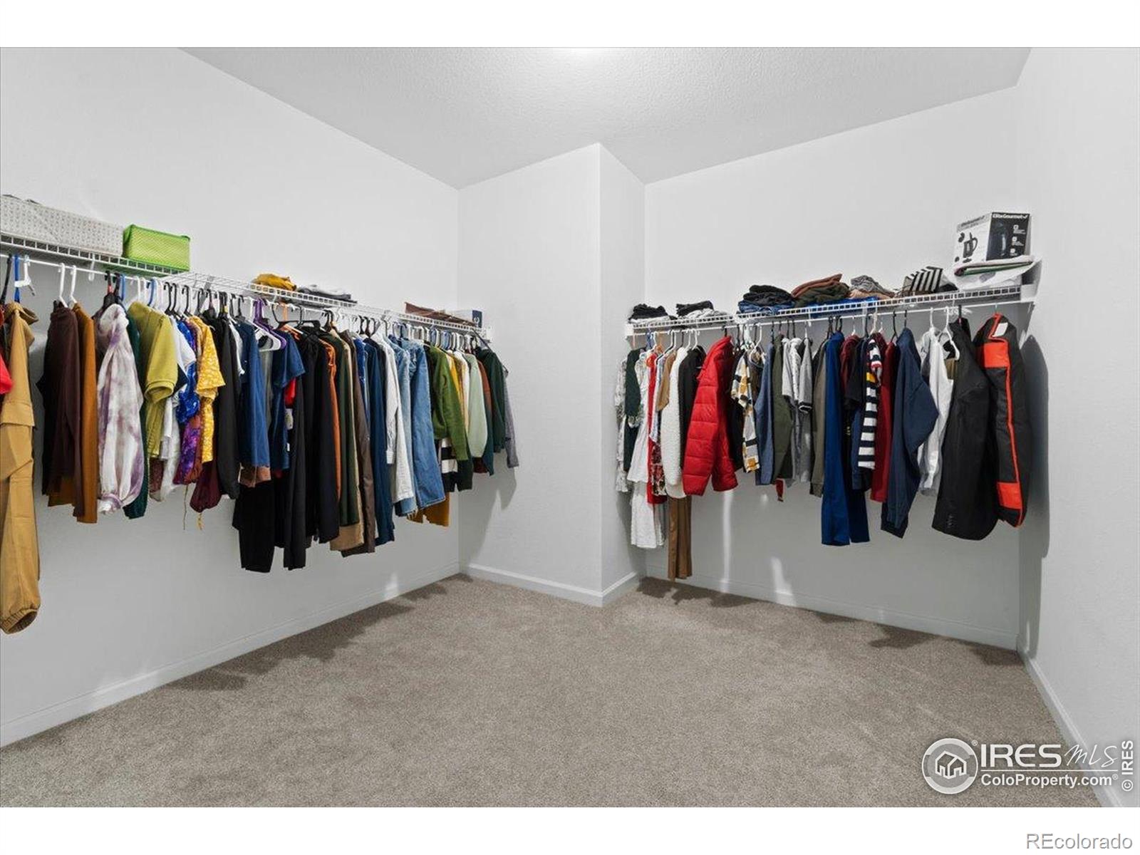 MLS Image #13 for 2418  cottongrass avenue,loveland, Colorado