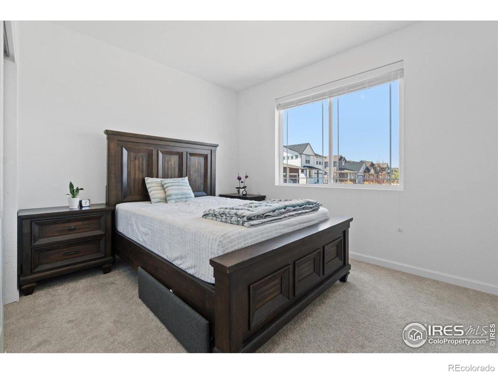 MLS Image #19 for 2418  cottongrass avenue,loveland, Colorado