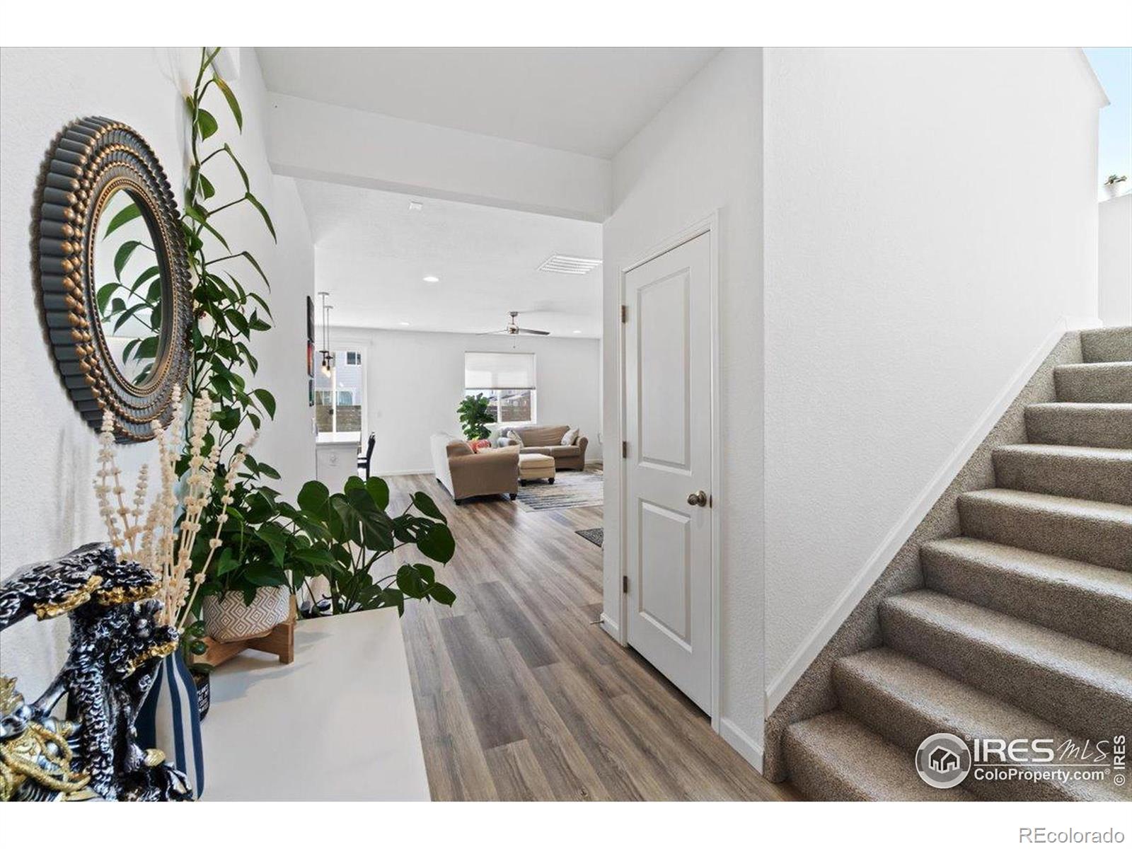 MLS Image #2 for 2418  cottongrass avenue,loveland, Colorado
