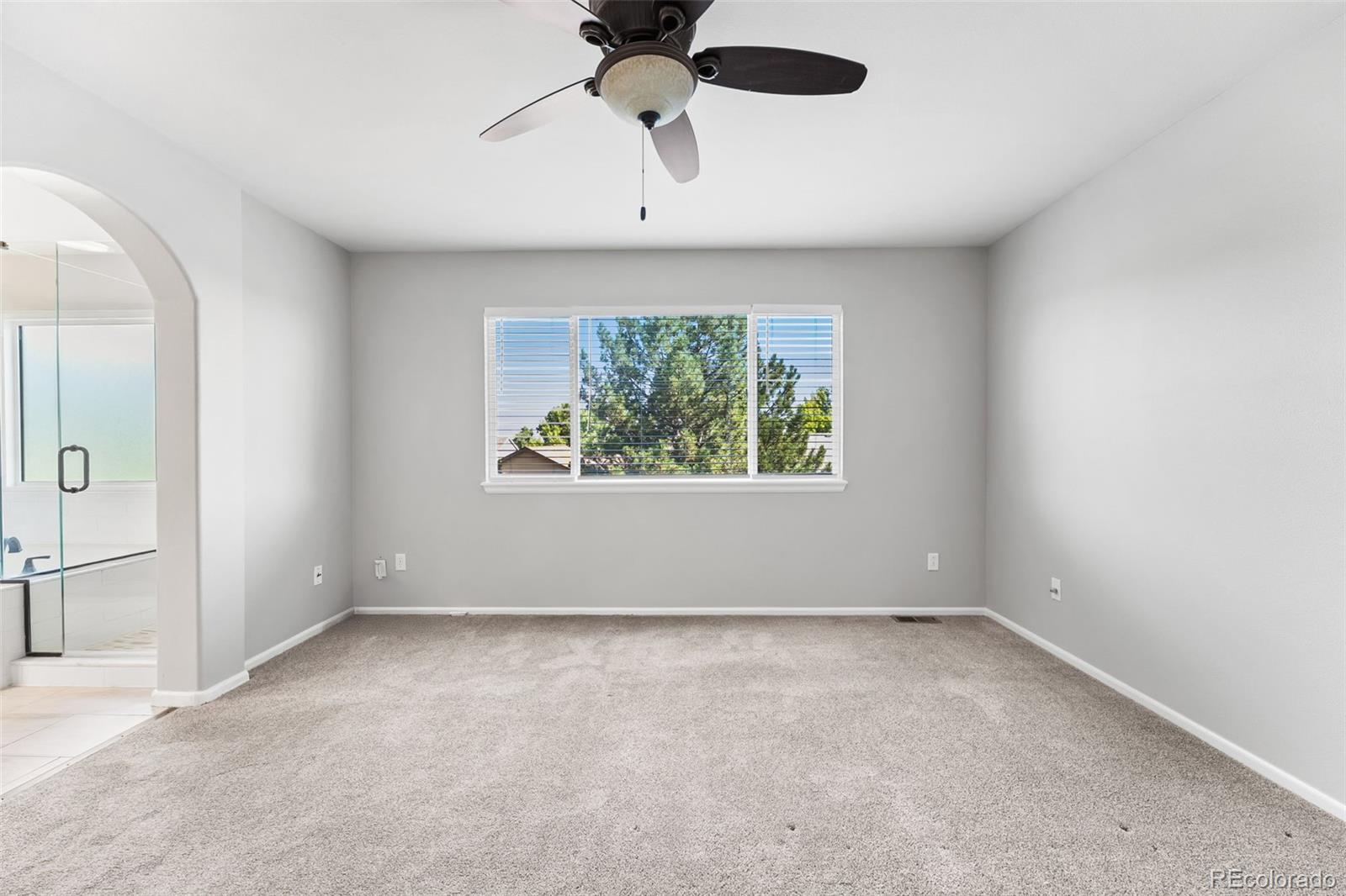 MLS Image #14 for 9540  high cliffe street,highlands ranch, Colorado