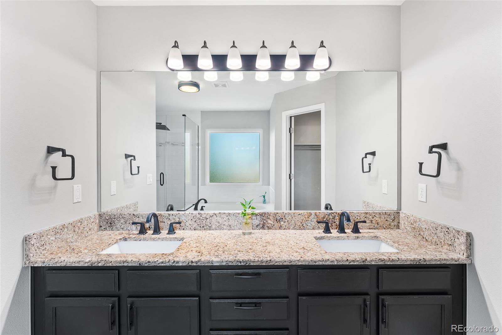 MLS Image #17 for 9540  high cliffe street,highlands ranch, Colorado