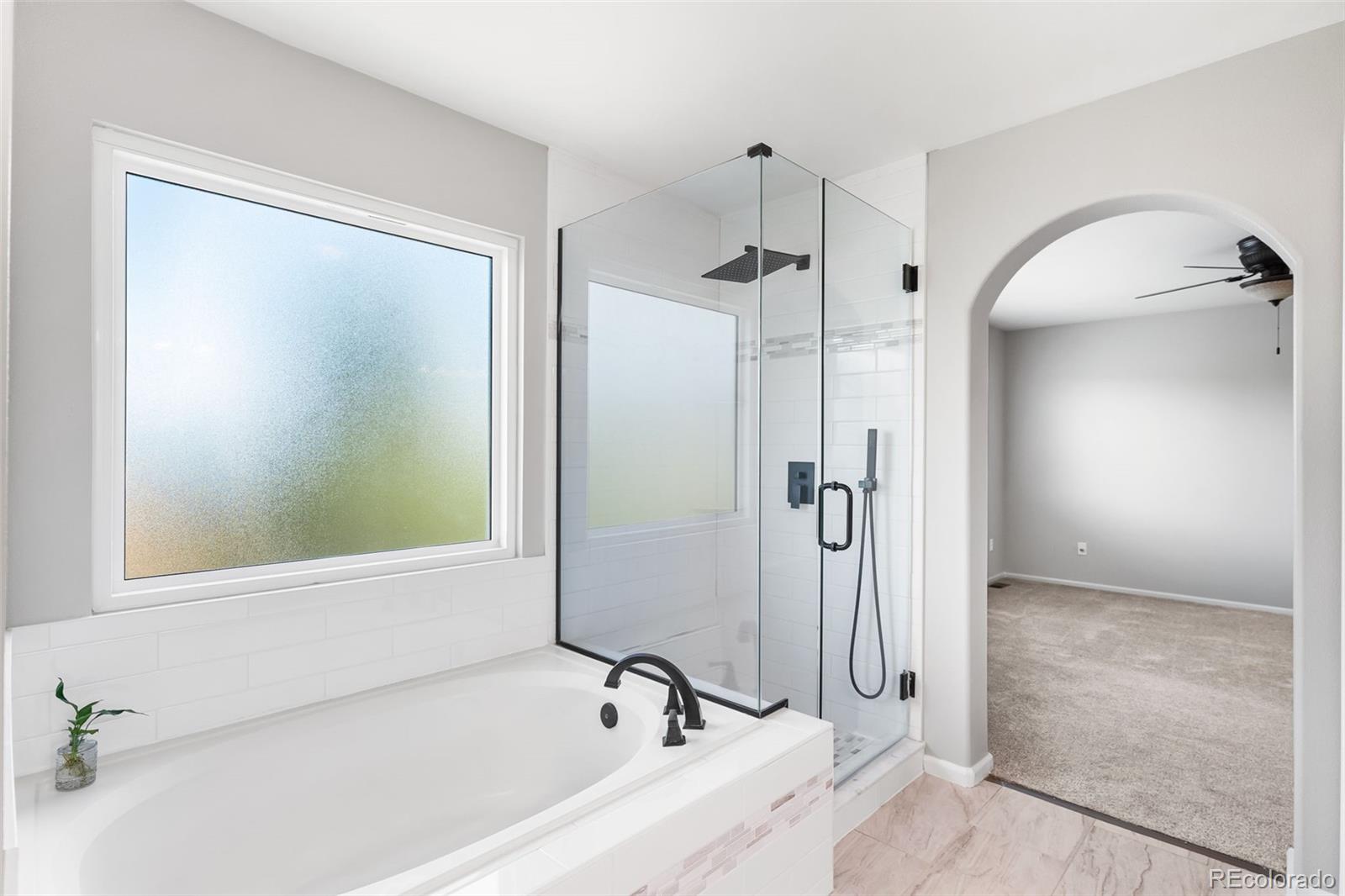 MLS Image #18 for 9540  high cliffe street,highlands ranch, Colorado