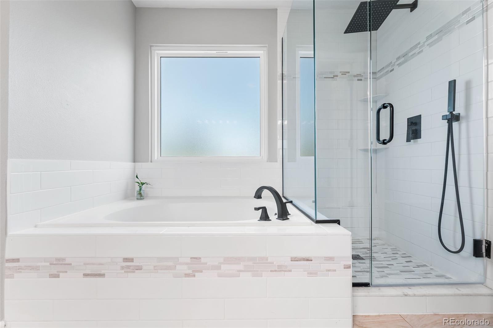 MLS Image #19 for 9540  high cliffe street,highlands ranch, Colorado