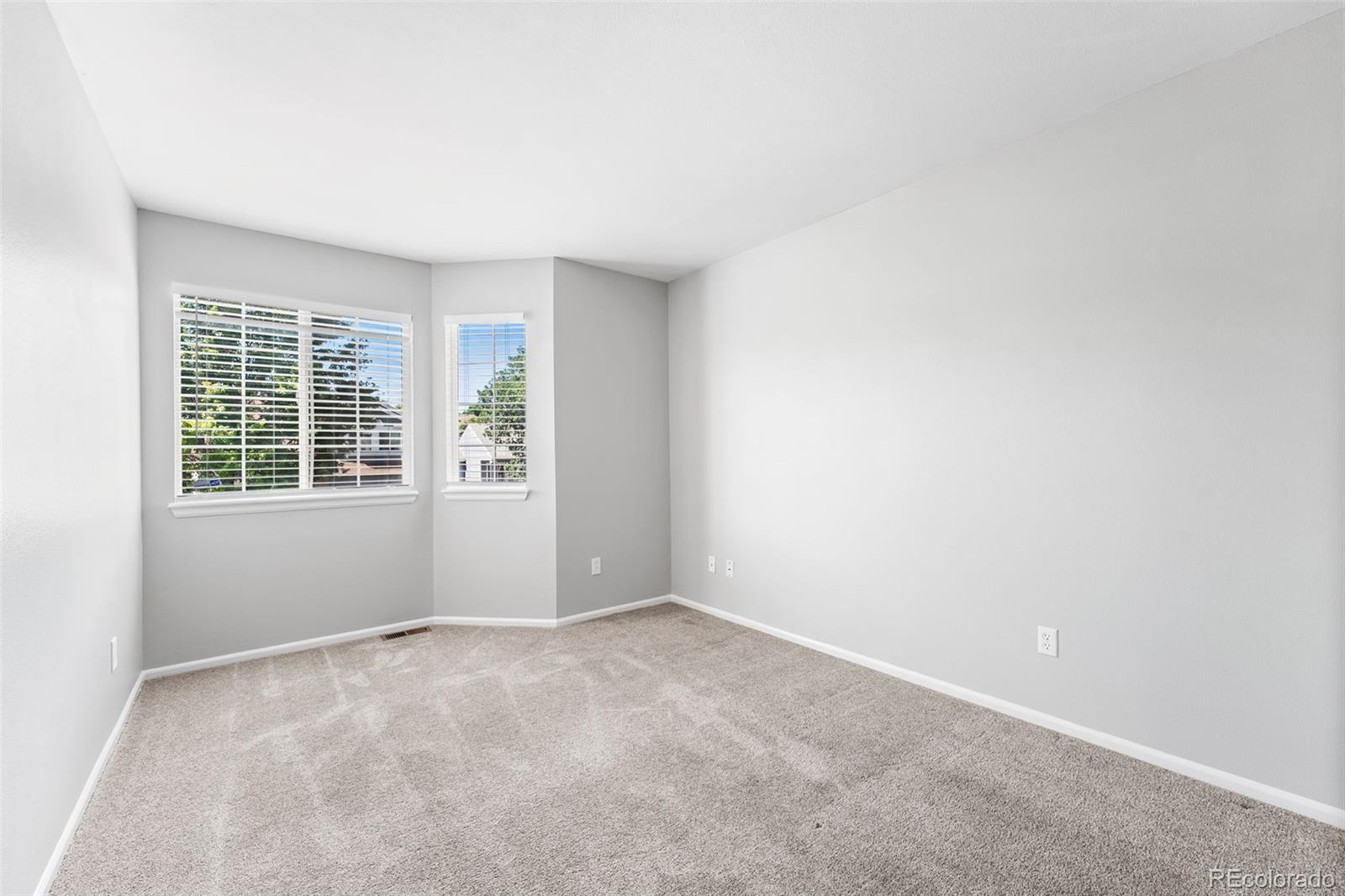 MLS Image #21 for 9540  high cliffe street,highlands ranch, Colorado