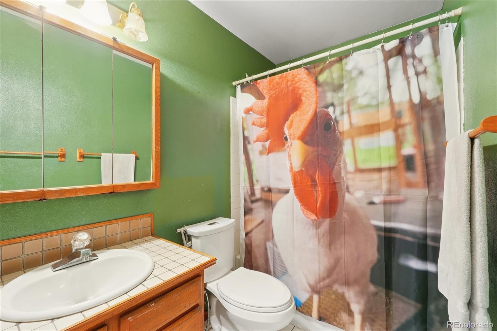 MLS Image #21 for 12941 s princess circle,broomfield, Colorado