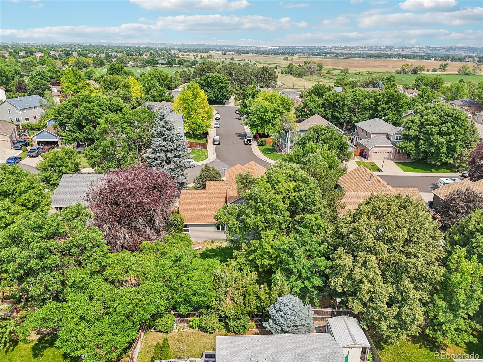 MLS Image #43 for 1201  dover court,broomfield, Colorado