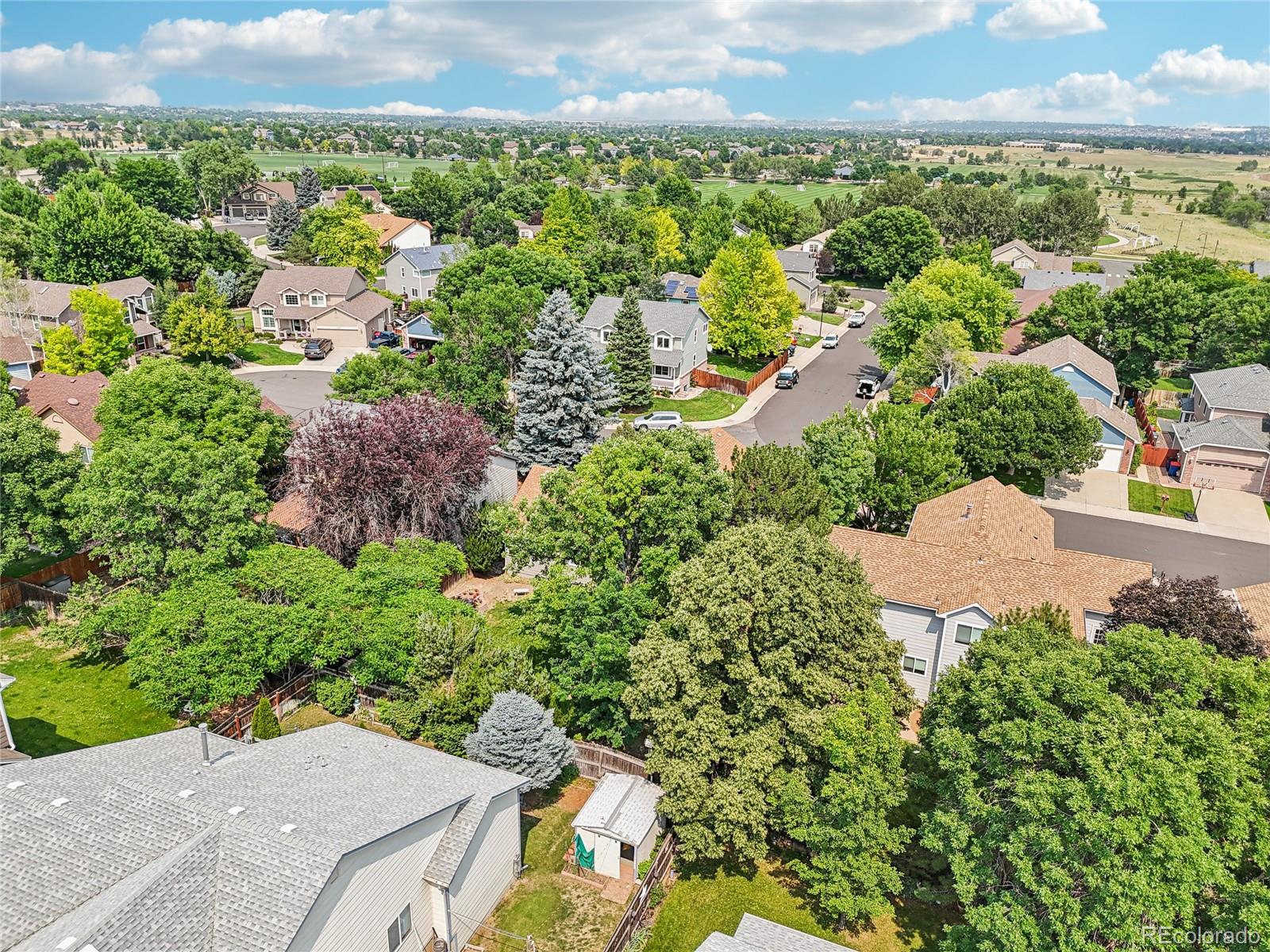 MLS Image #44 for 1201  dover court,broomfield, Colorado