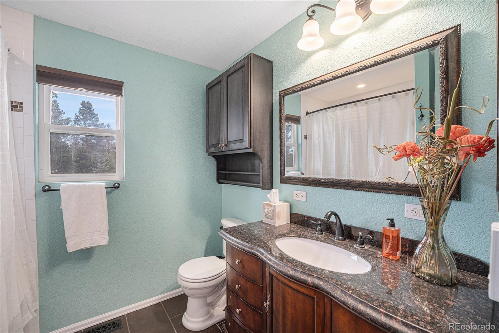 MLS Image #14 for 9075  jill drive,conifer, Colorado