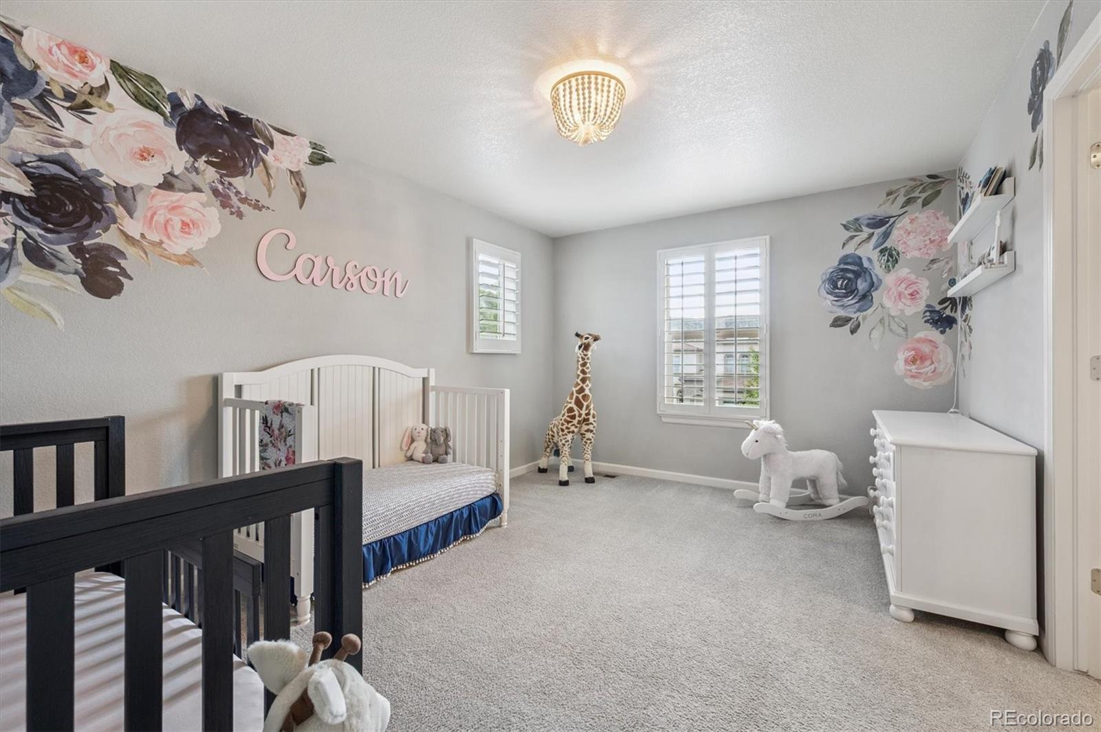 MLS Image #20 for 2234 s nile street,denver, Colorado