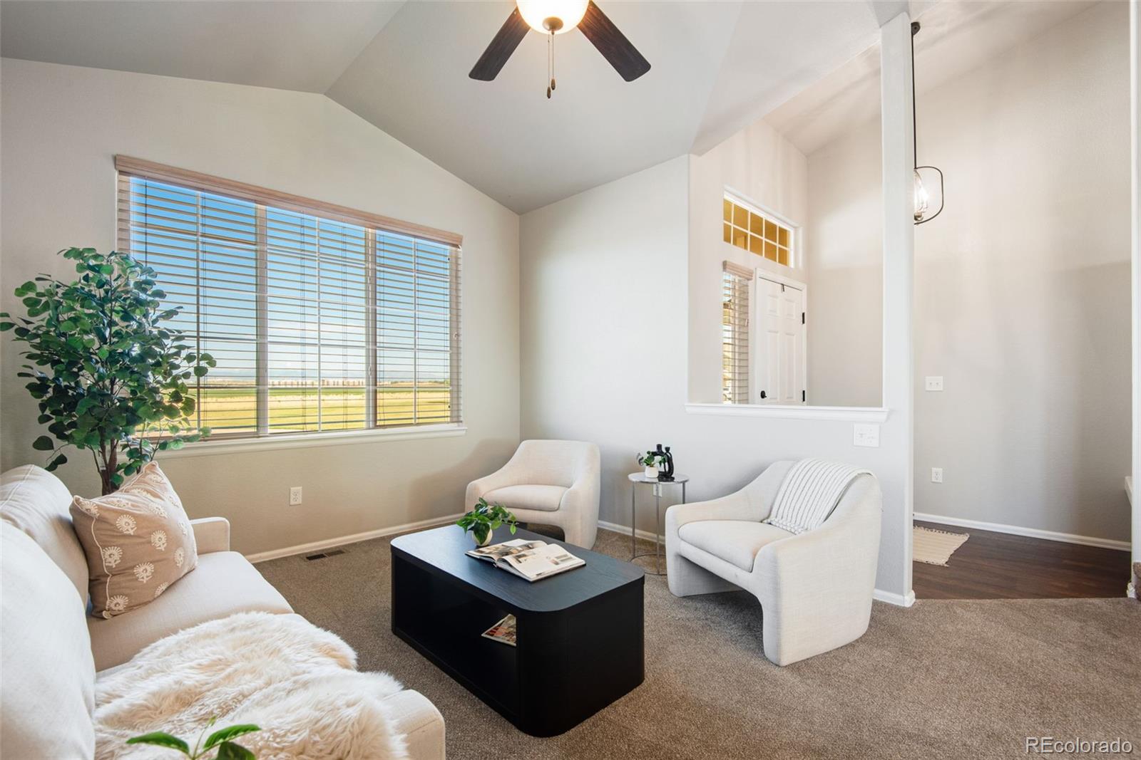 MLS Image #14 for 433  sycamore avenue,johnstown, Colorado