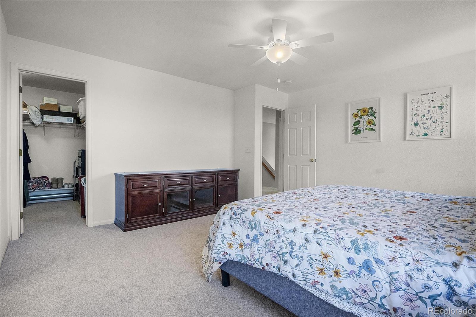 MLS Image #33 for 6193  brantly avenue,castle rock, Colorado