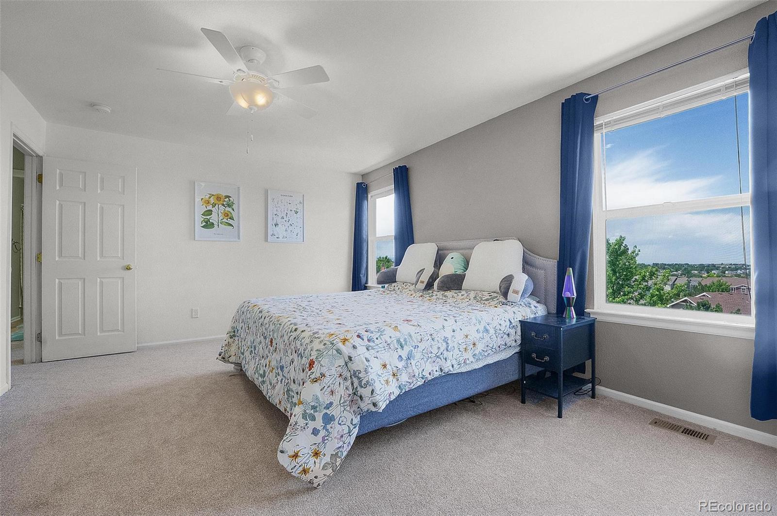 MLS Image #35 for 6193  brantly avenue,castle rock, Colorado