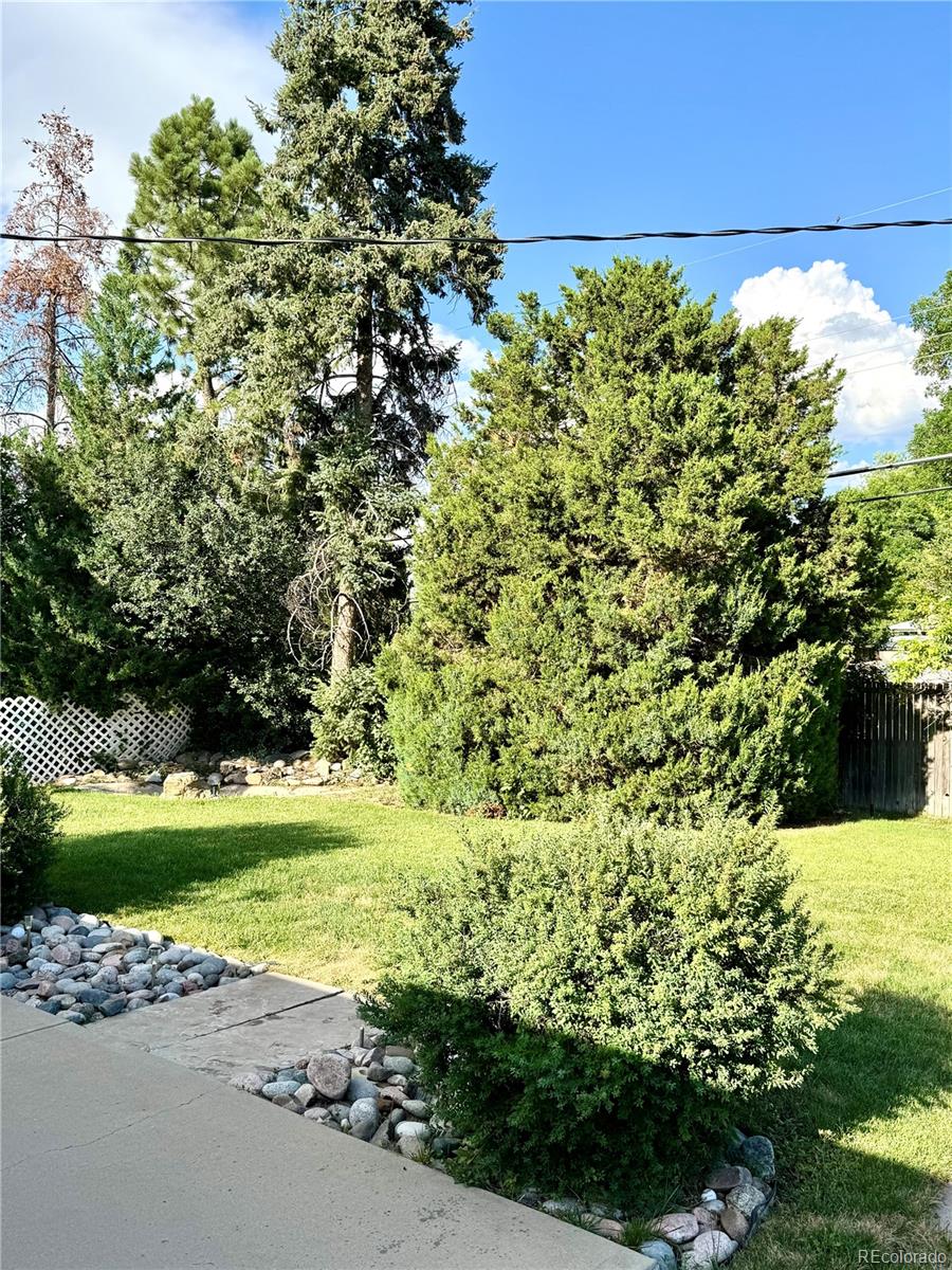 MLS Image #39 for 6616 s lincoln street,centennial, Colorado