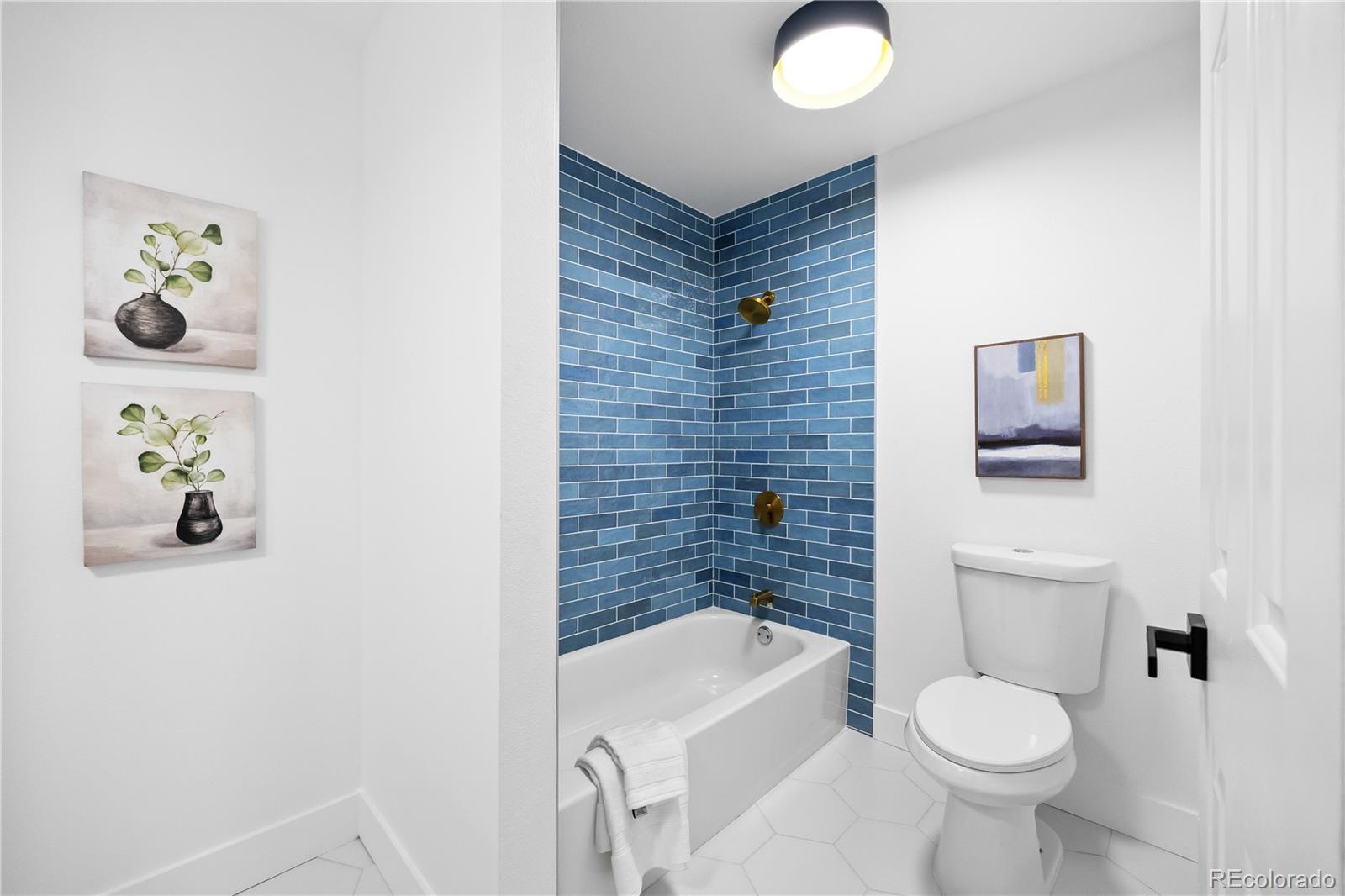 MLS Image #28 for 6643 w roxbury place,littleton, Colorado
