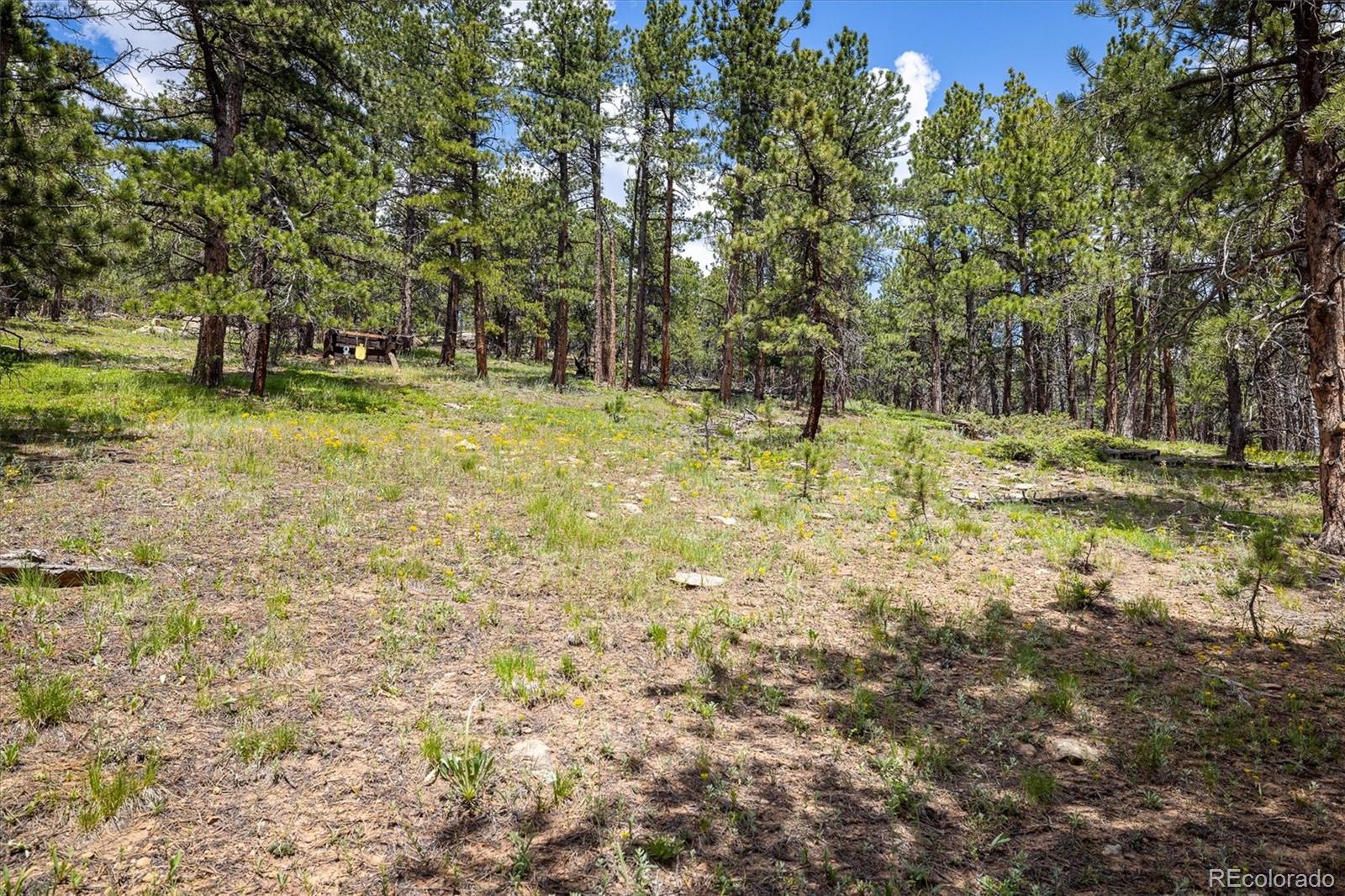 MLS Image #33 for 153  divide view drive,golden, Colorado