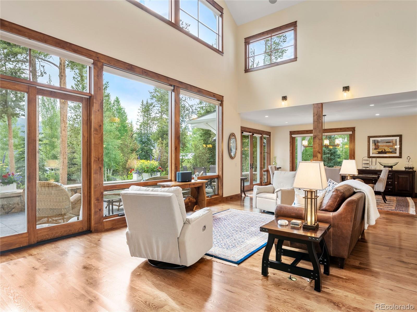 MLS Image #10 for 104 n gold flake terrace,breckenridge, Colorado